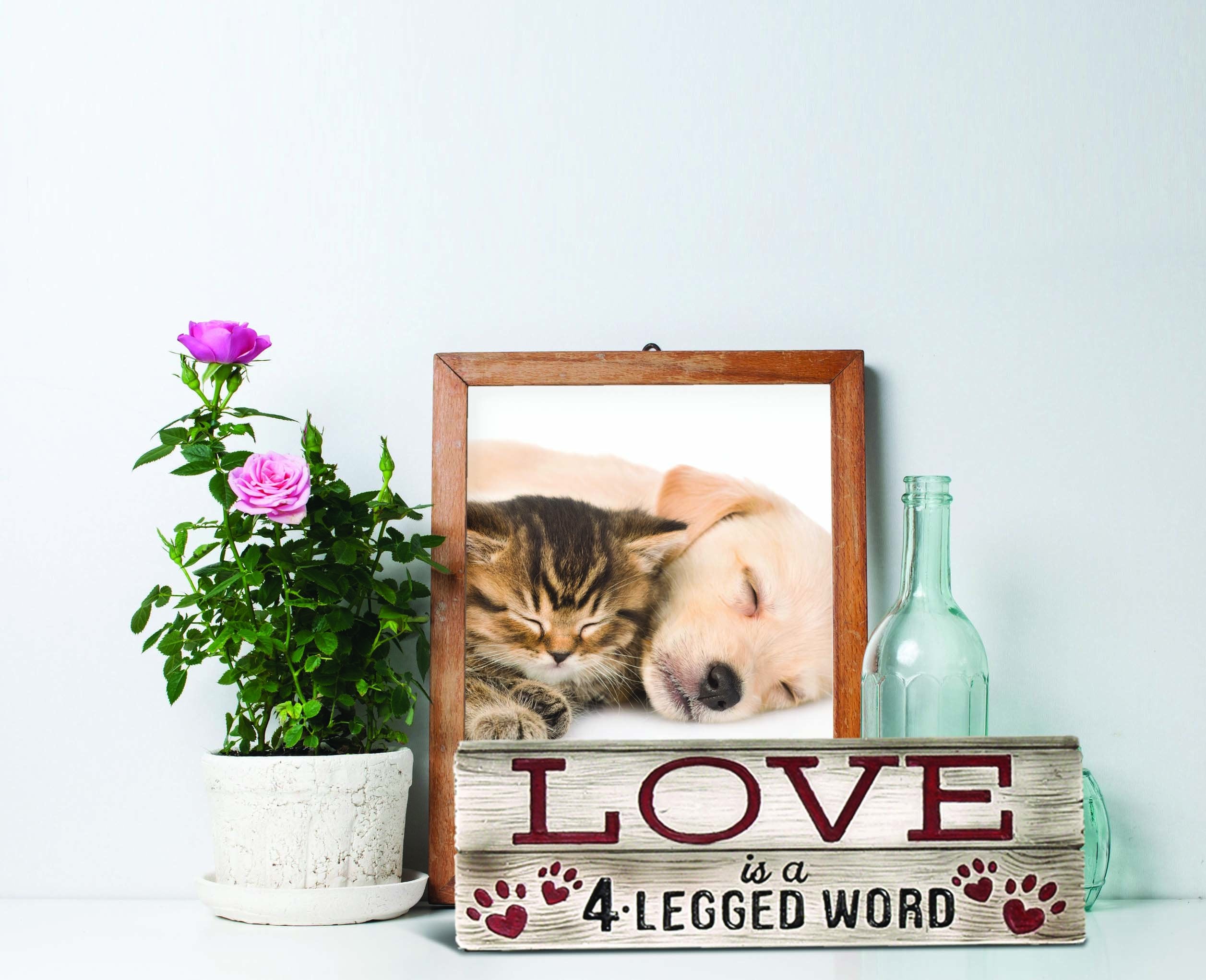 Spoontiques Grandkids Spoiled Here Desk Sign, Brown, 2.75 Diameter X 1 Width X 7.75 Height Inches