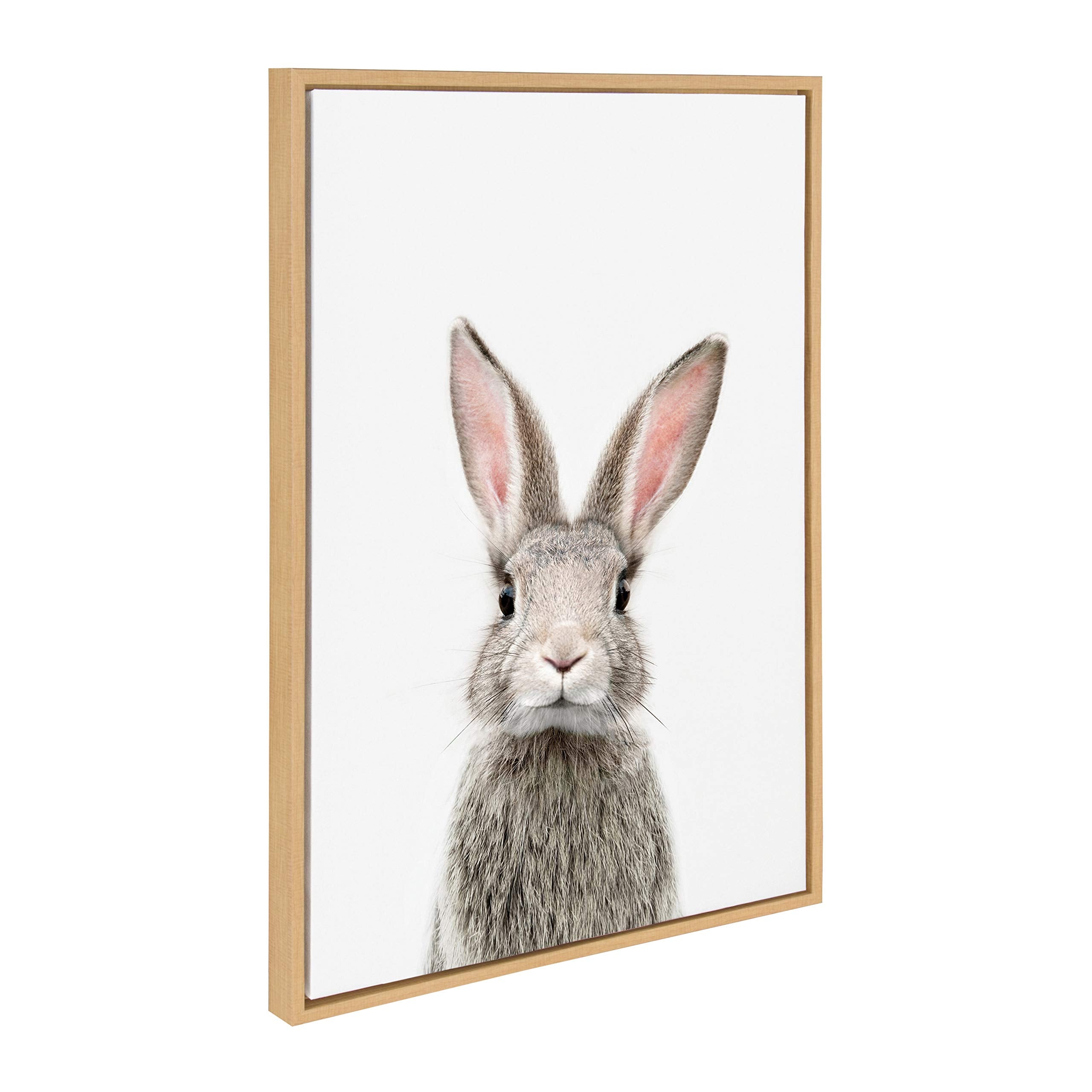 Kate And Laurel Sylvie Female Baby Bunny Rabbit Animal Print Portrait Framed Canvas Wall Art By Amy Peterson, 23X33 Natural