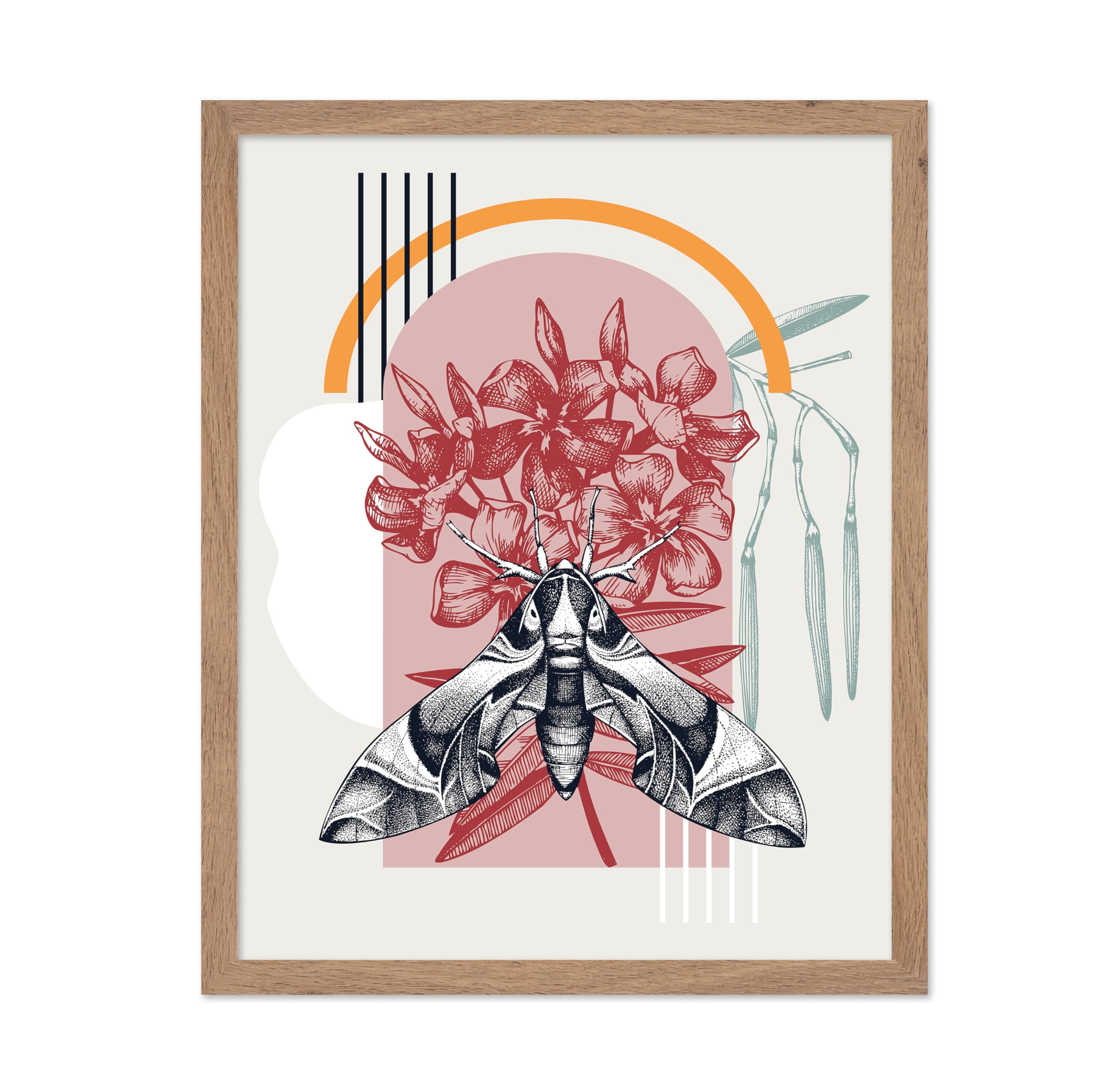 Poster Master Oleander Moth Poster - Oleander Moth on a Flower Print - Flower & Moth Art - Gift for Him, Her, Animal Lover - Dec