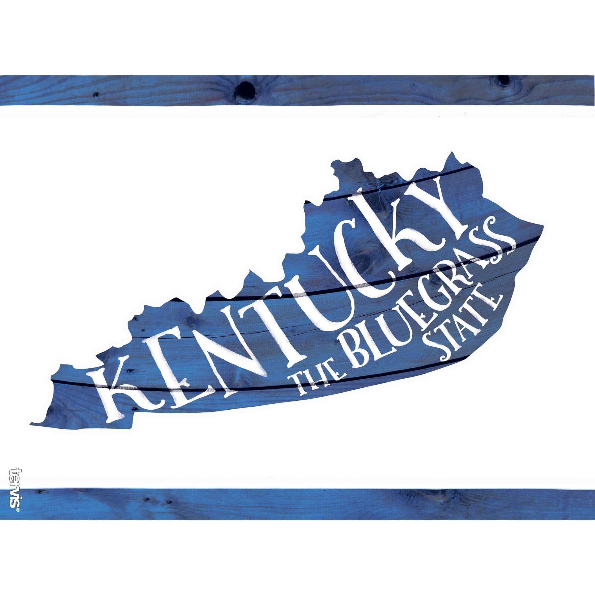 Tervis Kentucky Made In Usa Double Walled Insulated Tumbler Travel Cup Keeps Drinks Cold & Hot, 24Oz, Bluegrass State