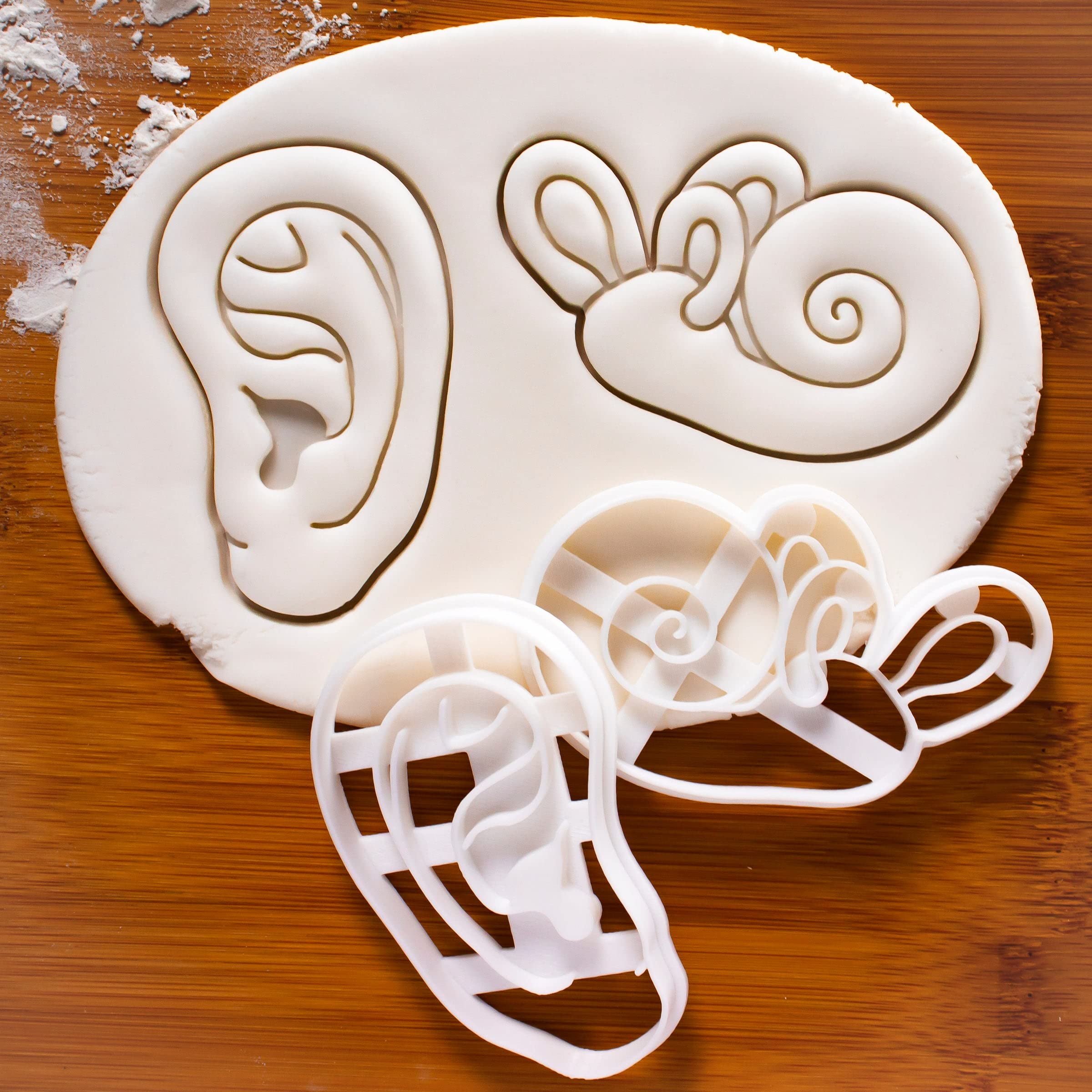 Set Of 2 Ear Cookie Cutters (Designs: Anatomical Human Ear And Cochlea Inner Ear), 2 Pieces - Bakerlogy