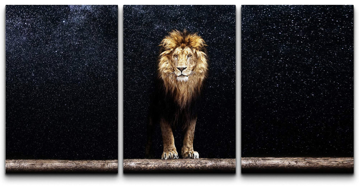 Signford Canvas Print Wall Art Set Lion Portrait In The Dark Galaxy Animals Wilderness Mixed Media Modern Art Contemporary Sceni