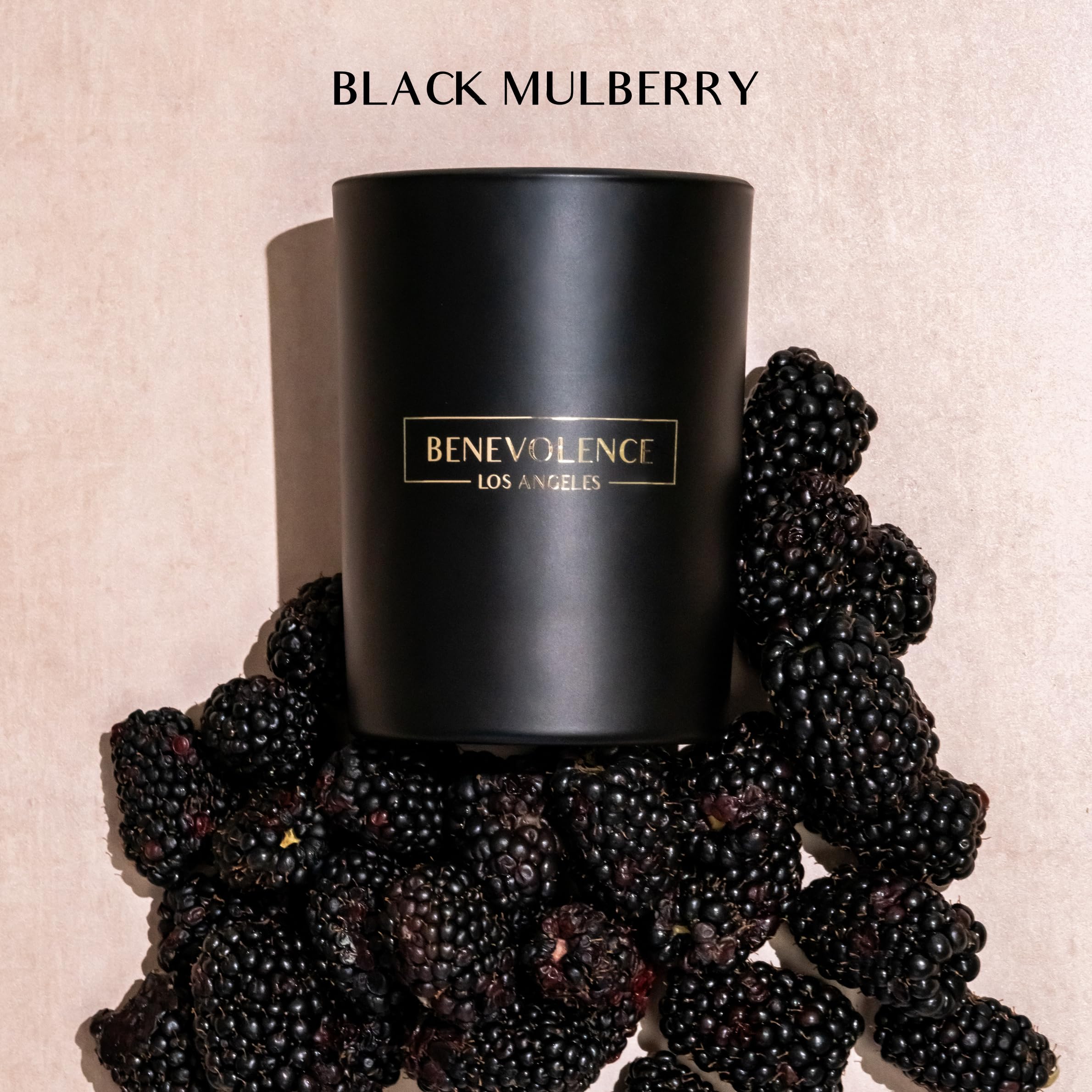 Black Berries (Baies) Scent  10 oz Scented Candles for Home  Natural Soy Candles Gifts for Women, Aromatherapy Candle, Fall Cand
