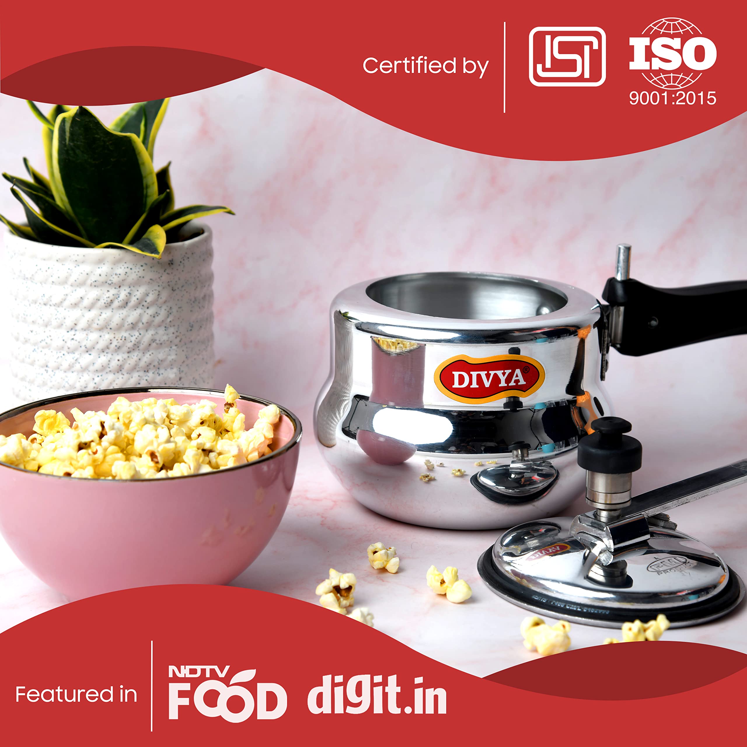 DIVYA 1 Litre Baby Handi Pressure Cooker