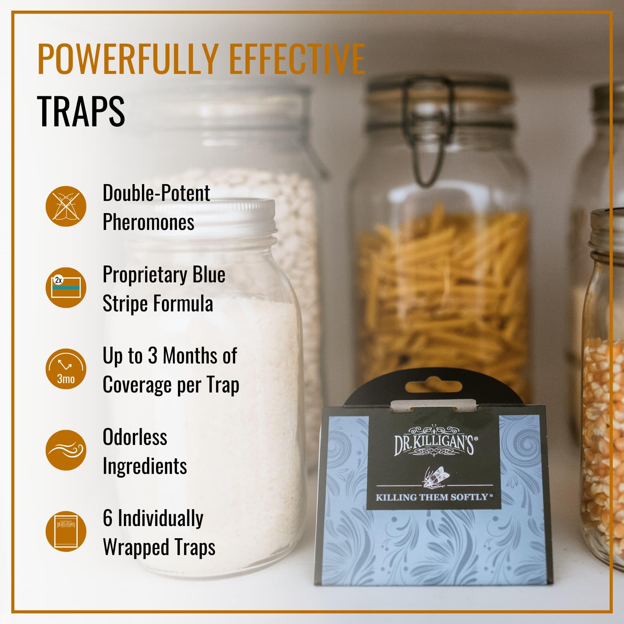Dr. Killigan'S Premium Pantry Moth Traps With Pheromones Prime, Indian Meal Moth Traps For House, How To Get Rid Of Moths In Hou