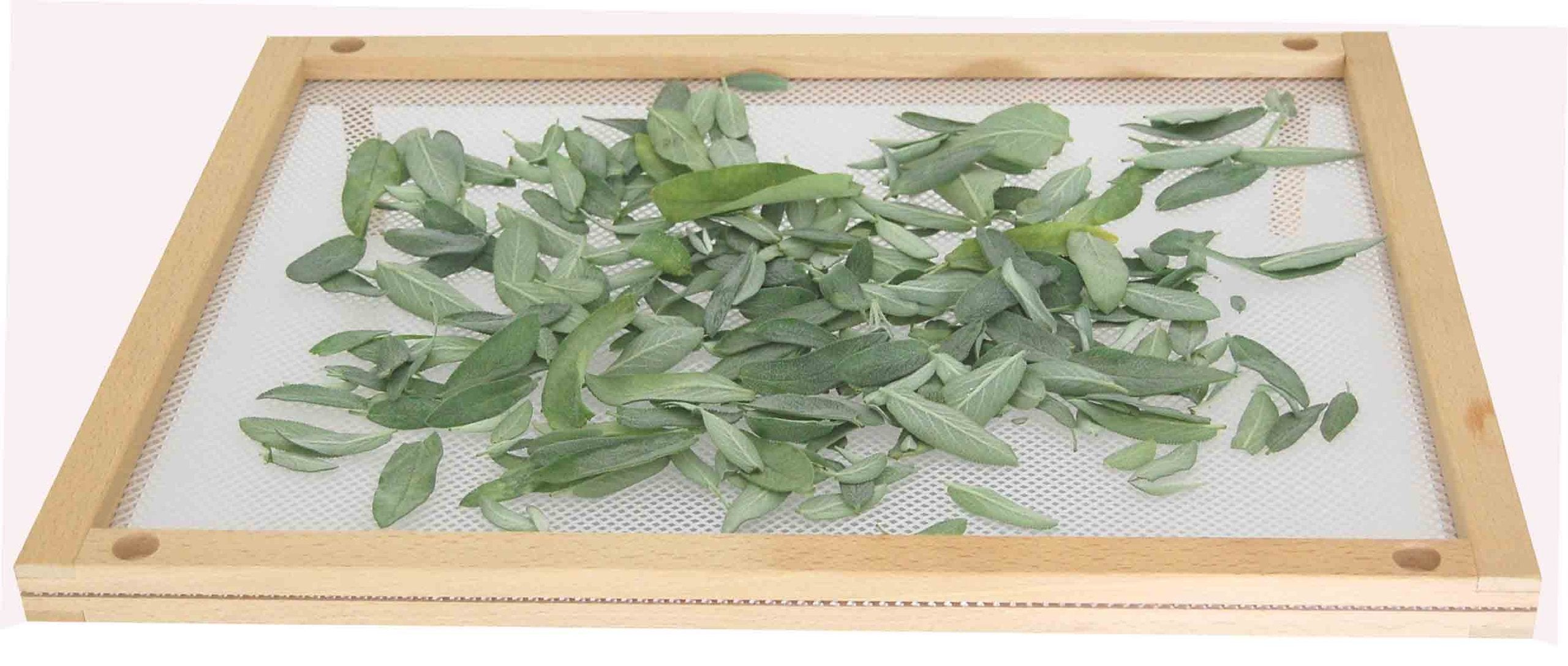 Eppicotispai Beechwood Stackable Food Dryer With Net