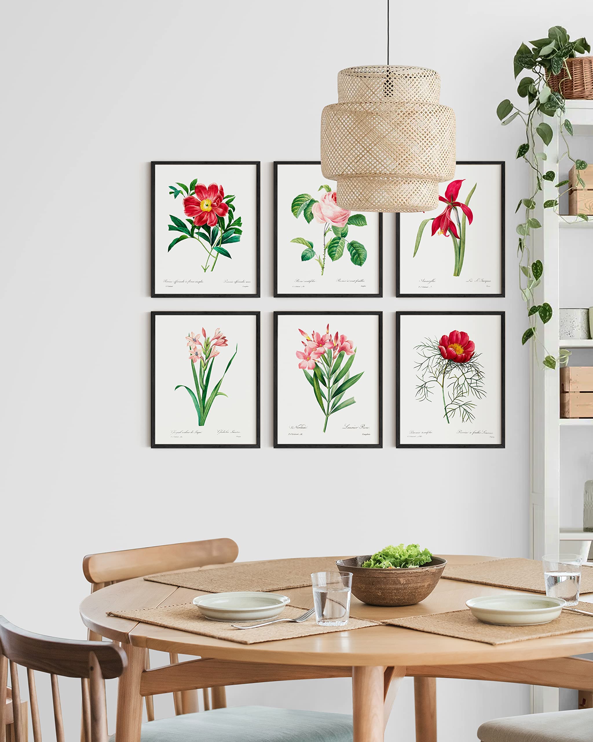 Haus And Hues Vintage Flower Posters And Prints - Set Of 6 Wildflower Wall Art Botanical Print Set | Plant Poster Vintage Floral