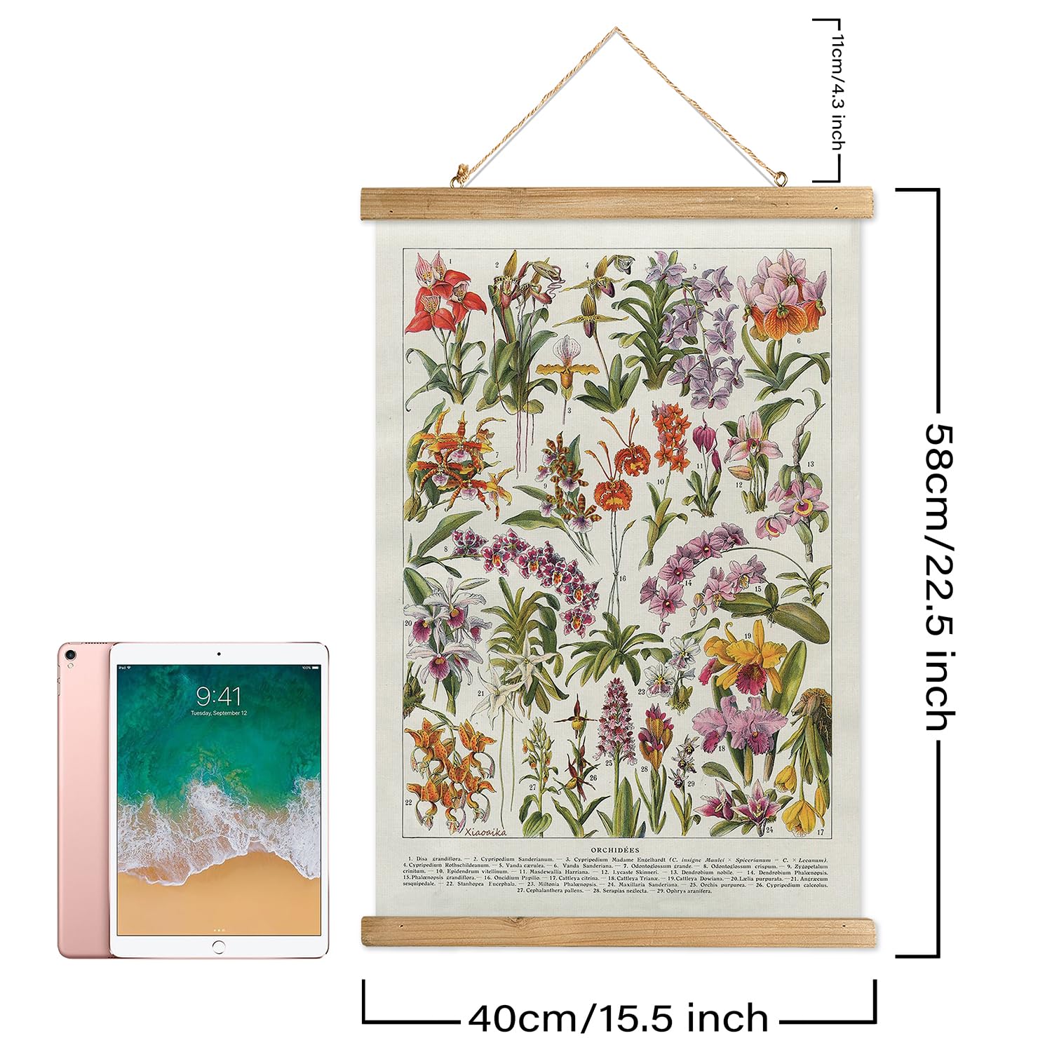 Xiaoaika Botanical Floral Wall Art Prints - Set Of 2, Antique Flower Illustration Posters With Wooden Hanging Frames, Vintage Ga