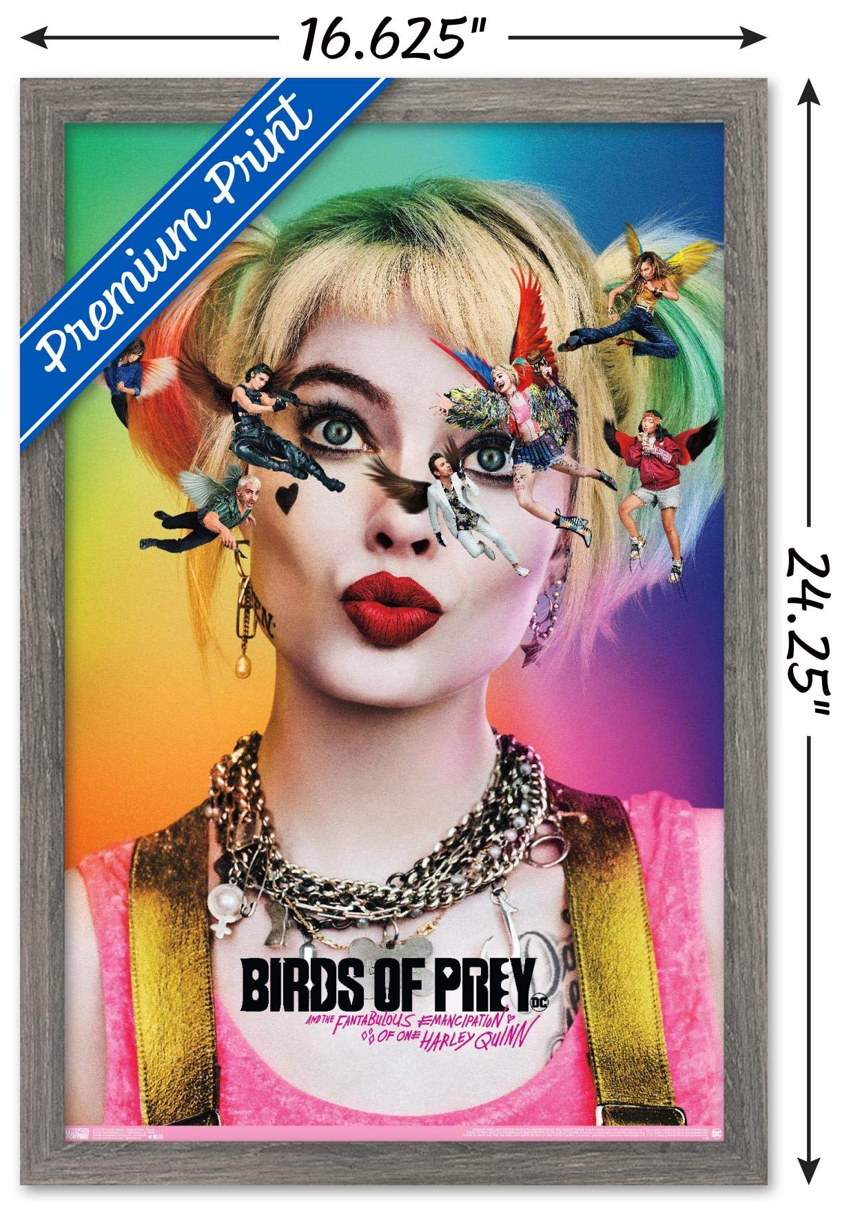 Trends International Dc Comics Movie - Birds Of Prey - Teaser Wall Poster, 14.725'' X 22.375'', Barnwood Framed Version