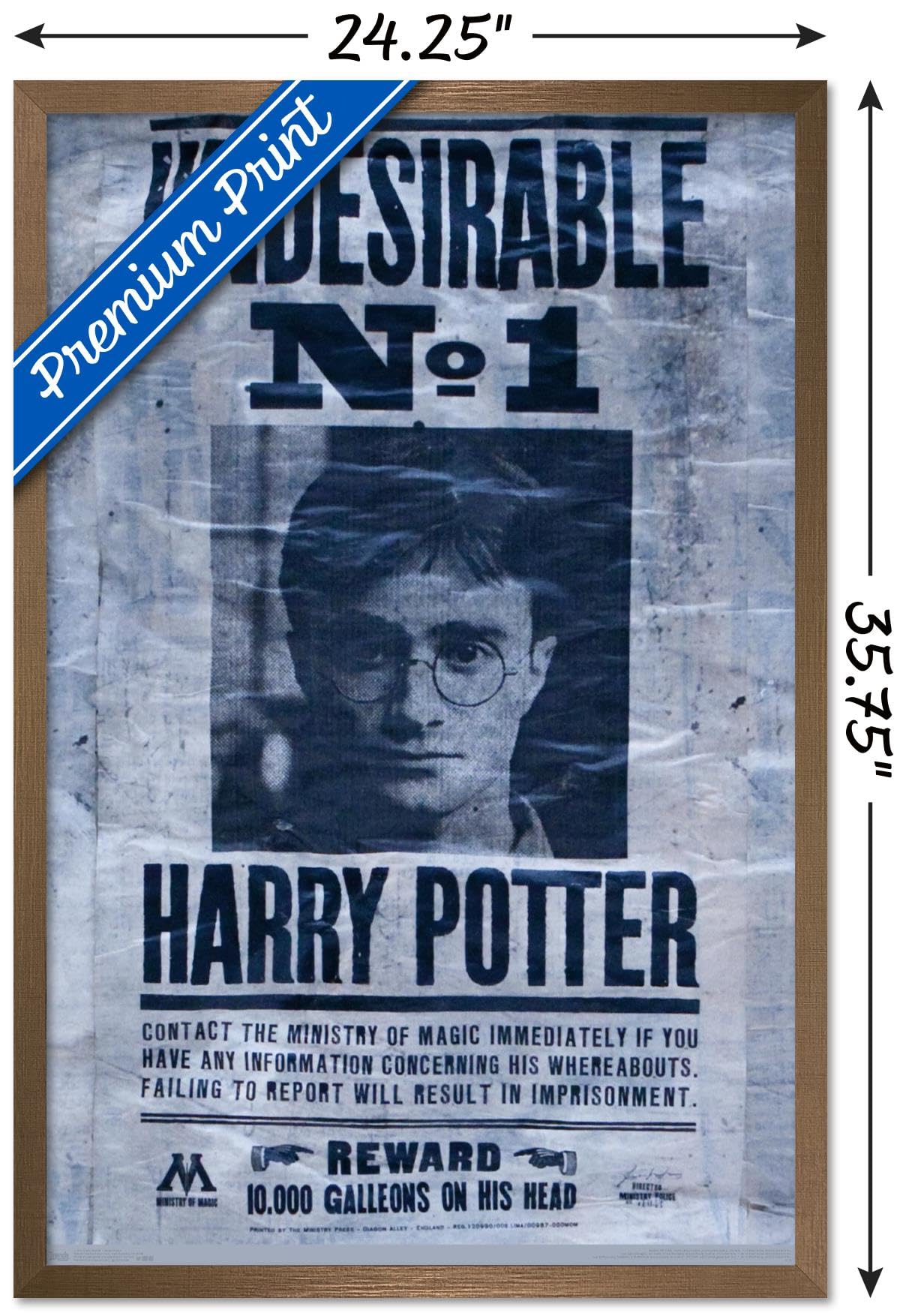 Trends International The Wizarding World: Harry Potter - Undesirable Wall Poster, 22.375'' X 34'', Bronze Framed Version