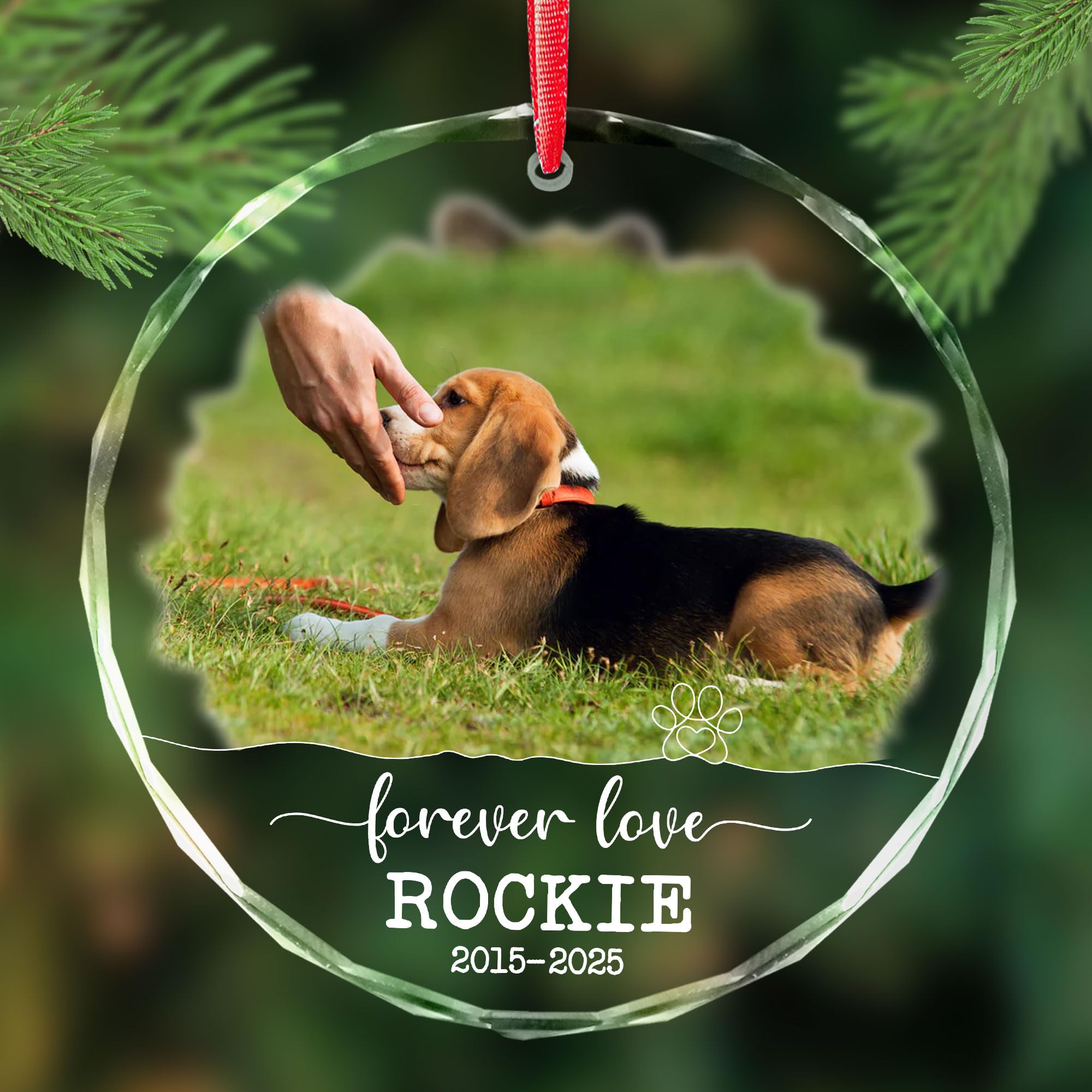Dog Memorial Ornaments for Christmas Tree 2025 - Personalized Pet Loss Remembrance Gifts - Dog Photo Ornament - Pet Sympathy, in