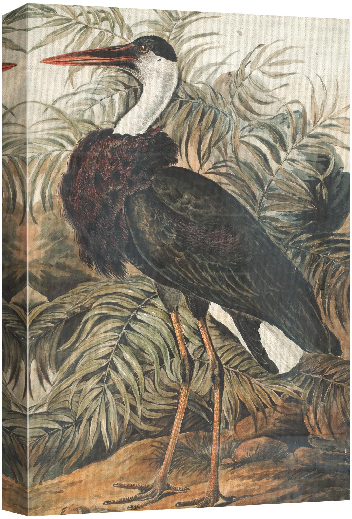 Wall26 Canvas Print Wall Art Fine Art Tropical Swamp Heron Bird Nature Wilderness Illustrations Modern Art Botanical Floral Farm