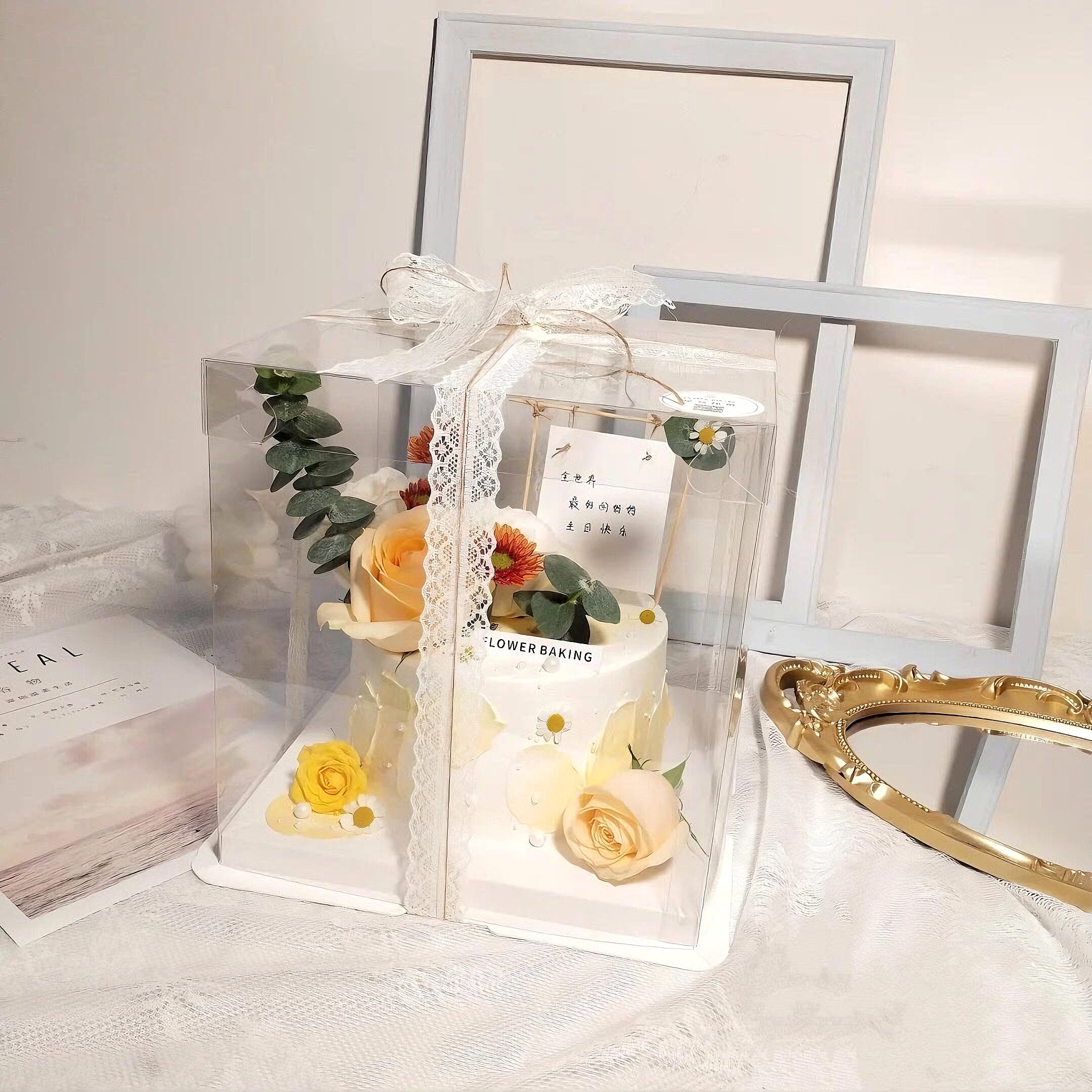 5 Pcs, 12x12x11 inch Food Grade Clear Plastic Display Boxes, 29.4 x 29.4 x 25 cm with Ribbon, for Cakes, Bakeries, Desserts,