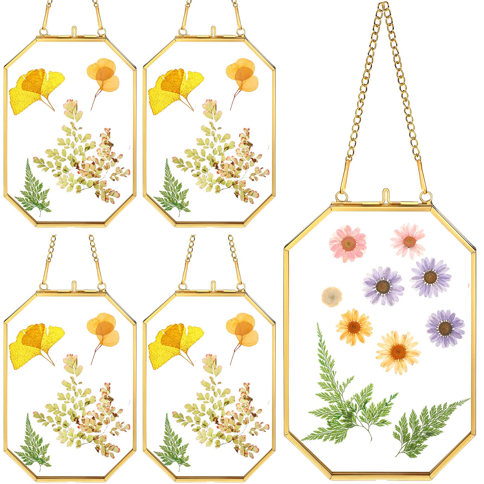 4 Pieces Hanging Glass Floating Frame 5 x 7 Inch Double Clear Pressed Flower Frames for Plant Photo Dried Home Decor (Gold)