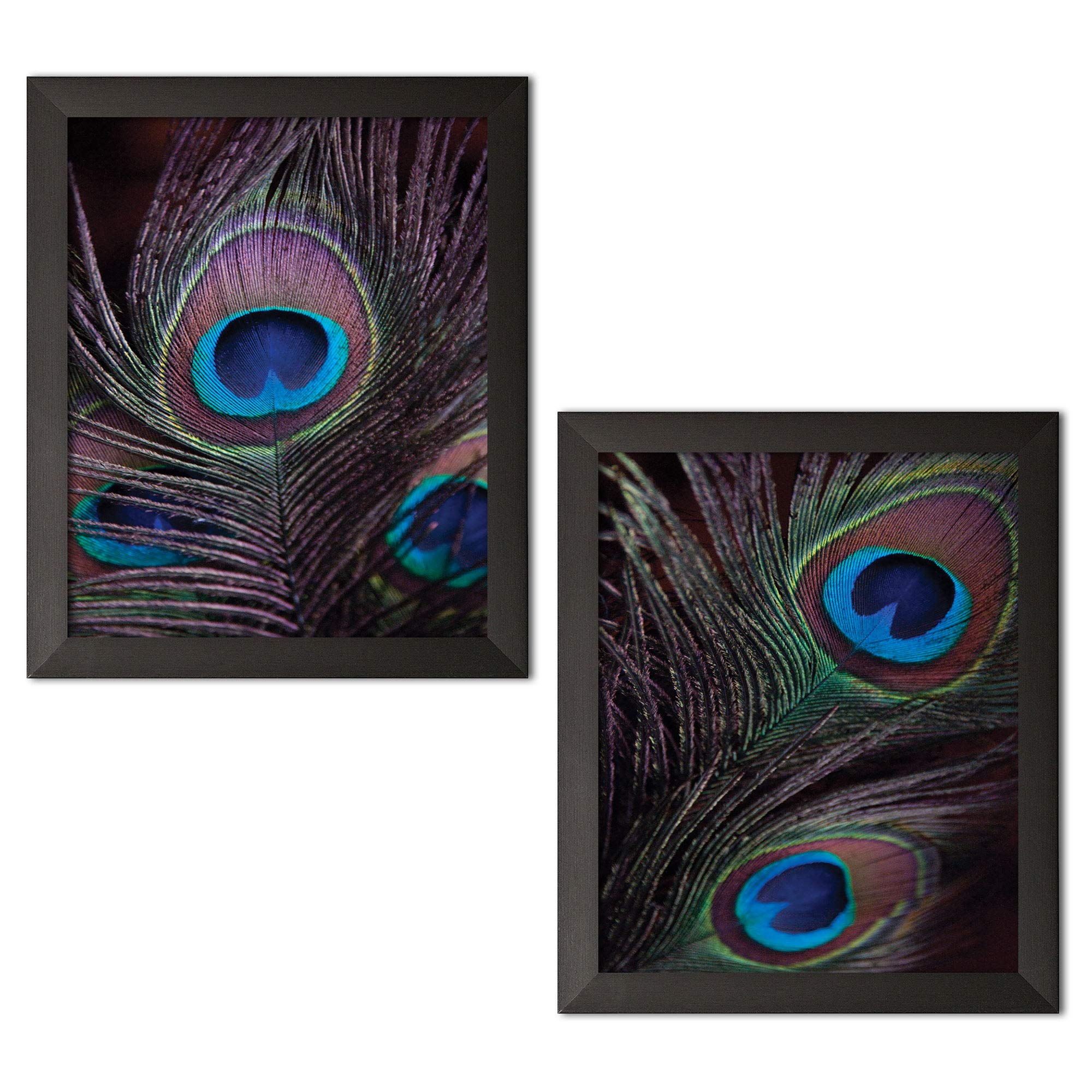 Gango Home Decor Gorgeous Blue Brown And Green Peacock Feather Photograph Print Set; Two 11X14 Black Framed Prints. Blue/Green/B