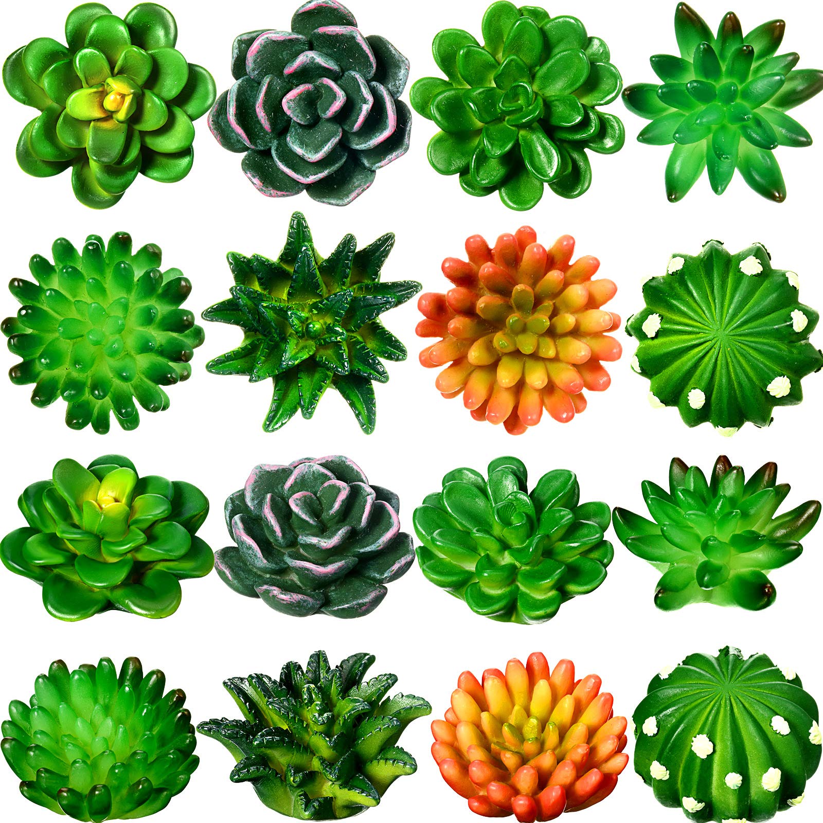 16 Pieces Cactus Succulent Refrigerator Magnets 3D Resin Fridge Magnets Mini Plant Decorative Stickers for Whiteboard Locker Off