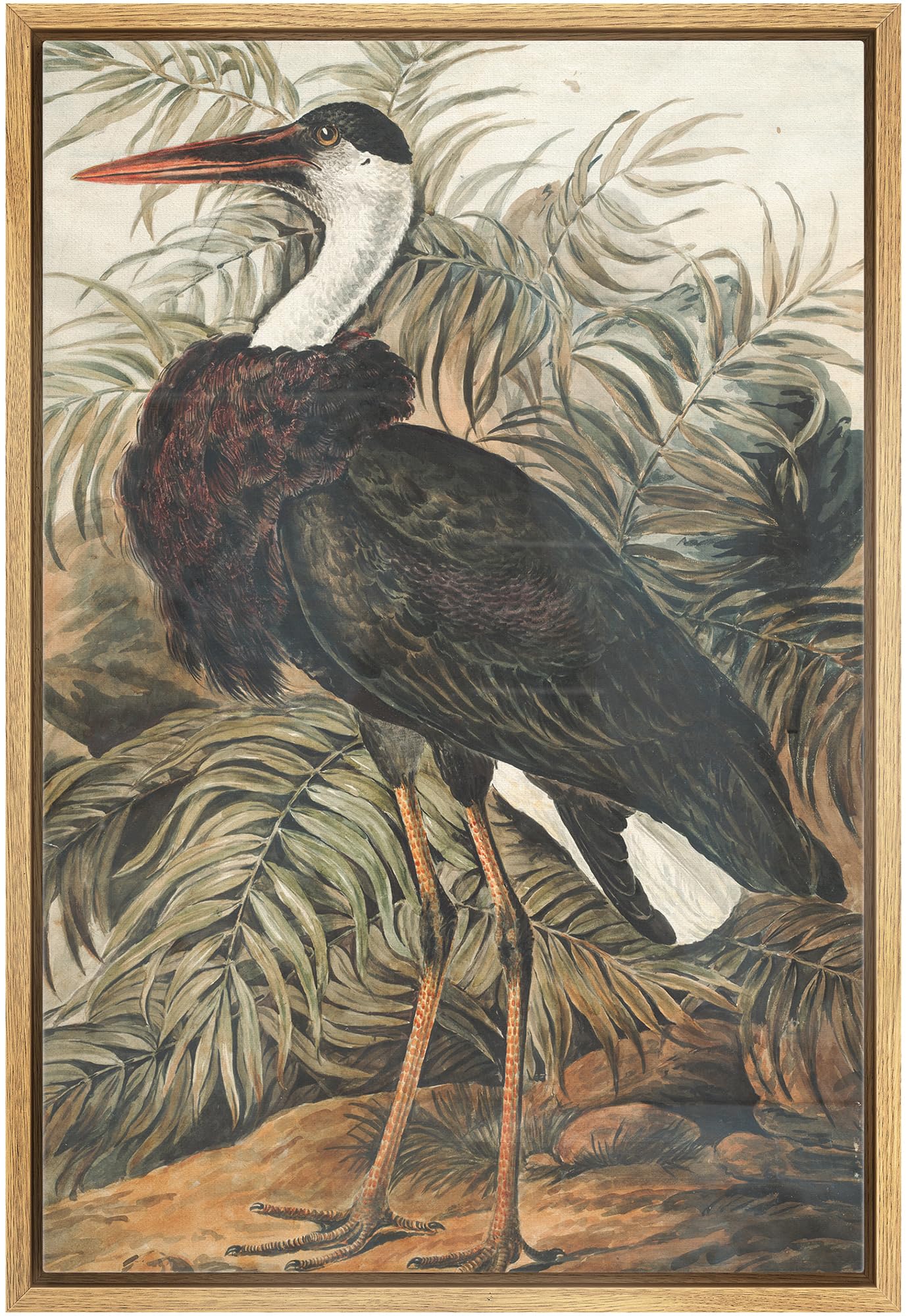 Wall26 Framed Canvas Print Wall Art Fine Art Tropical Swamp Heron Bird Nature Wilderness Illustrations Modern Art Botanical Flor