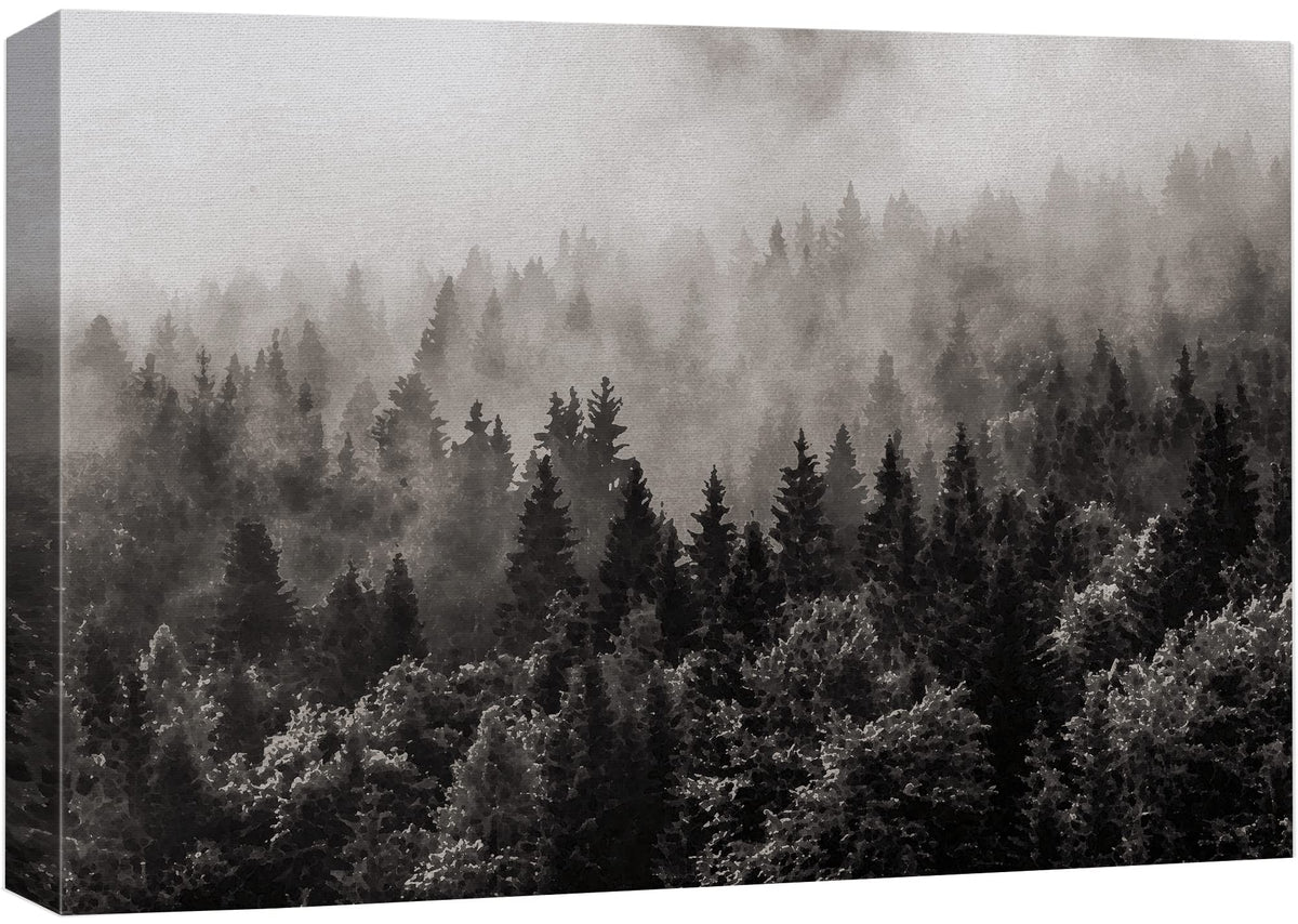 Wall26 Canvas Wall Art - Misty Forest In Black And White - Gallery Wrap Modern Home Art | Ready To Hang - 12X18 Inches