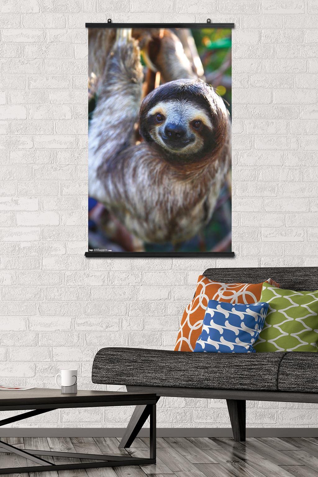 Trends International Sloth - Smile Wall Poster, 22.375'' X 34'', Premium Poster & Clip Bundle