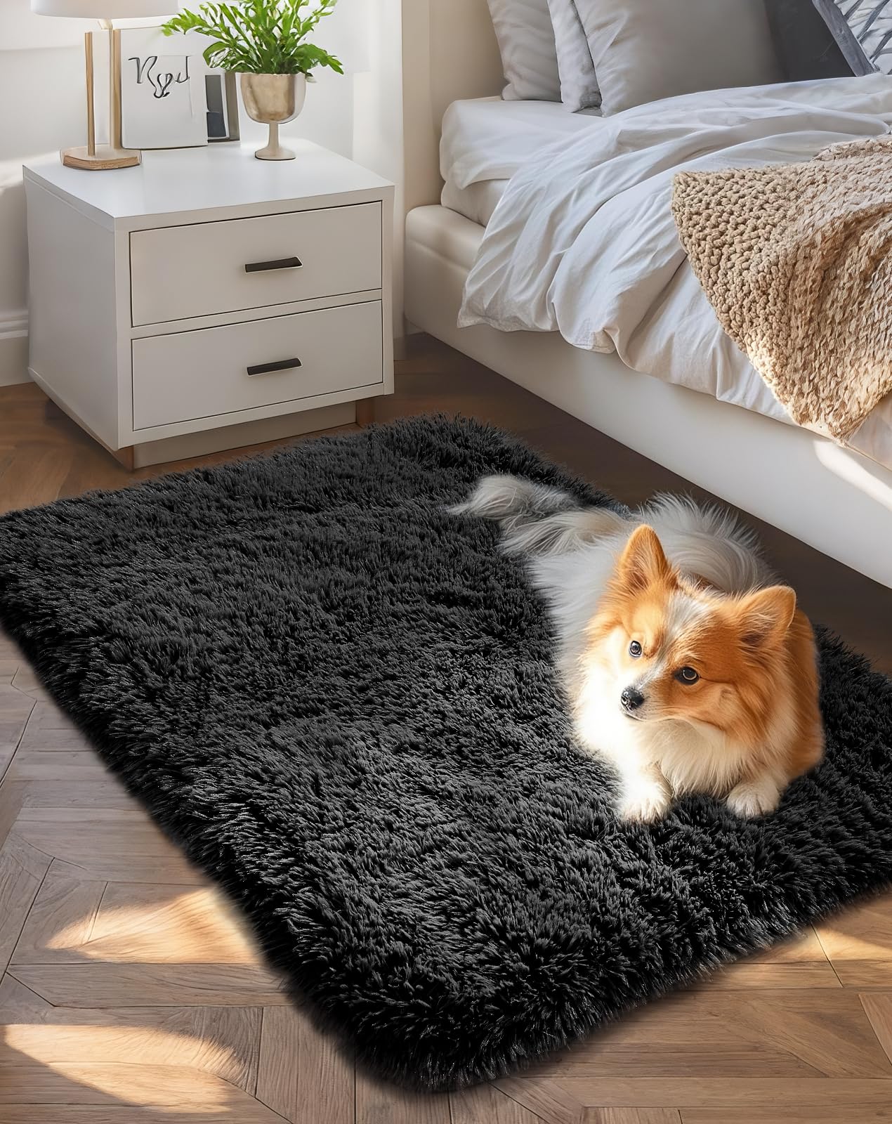 Ophanie Small Black Entryway Throw Rugs for Bedroom, 2x3 Mini Area Rug, Affordable Non Slip Fluffy Carpet, Fuzzy Soft Living Roo