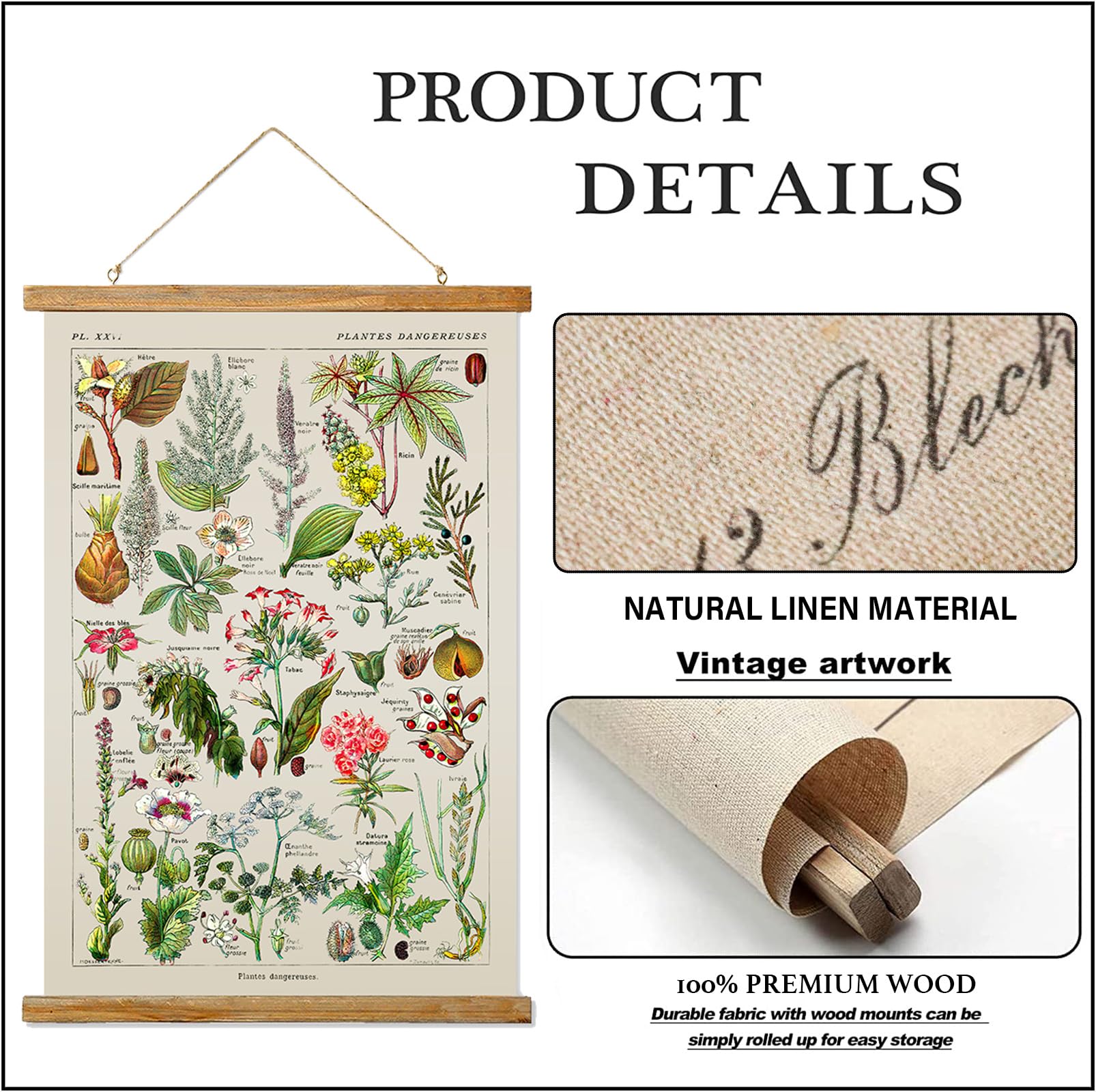 Ovfovy Vintage Botany Poster With Wooden Frame, Retro Botanical Educational Art Chart - Cute Style Wall Hanging For Home Classro