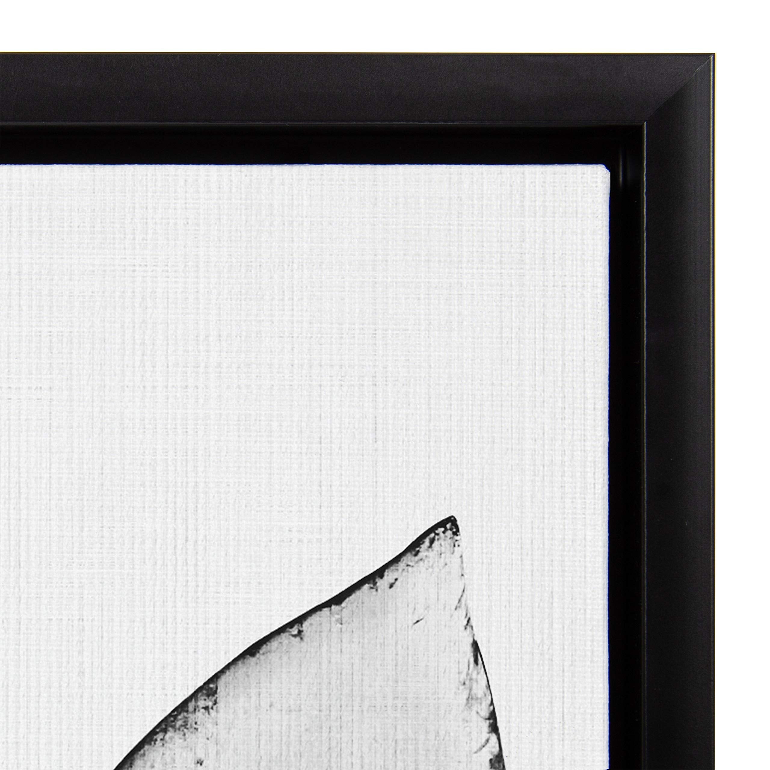 Kate And Laurel Sylvie Black And White Modern Succulent Print Framed Canvas Wall Art By Simon Te Tai, 18X24 Black