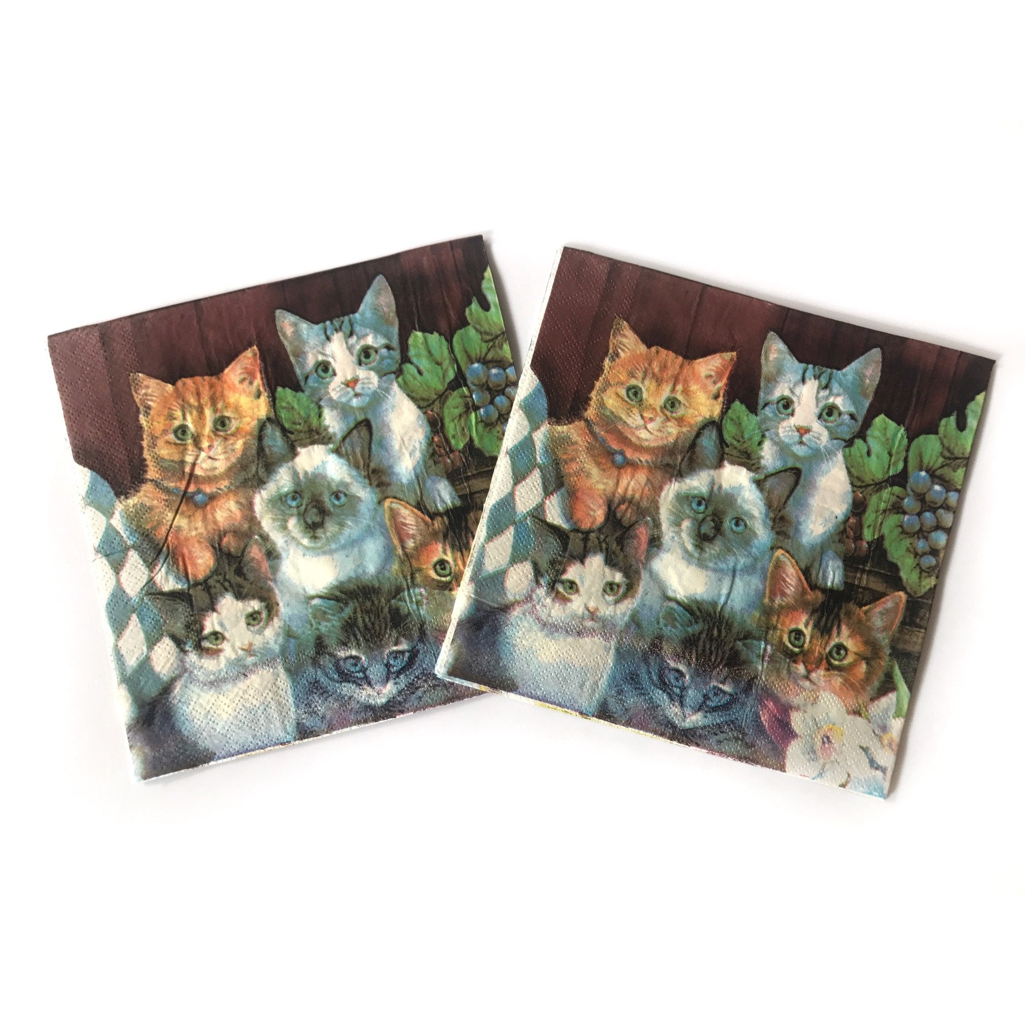 Wallye Cat Paper Napkins, Pet Animal Theme Shabby Chic Servilletas Para Decoupage Napkins, 20 Pack