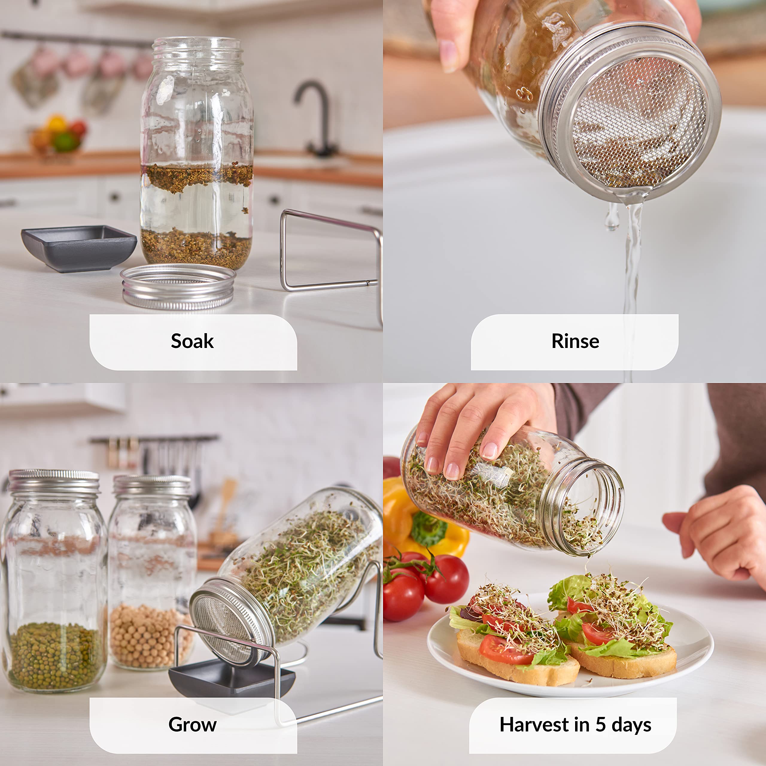 2 Pack Seed Sprouting Jar Lids | For 2.75'' Regular Mouth Mason Jars | Fresh Sprouts At Home | Strainer Screen For Canning Jars