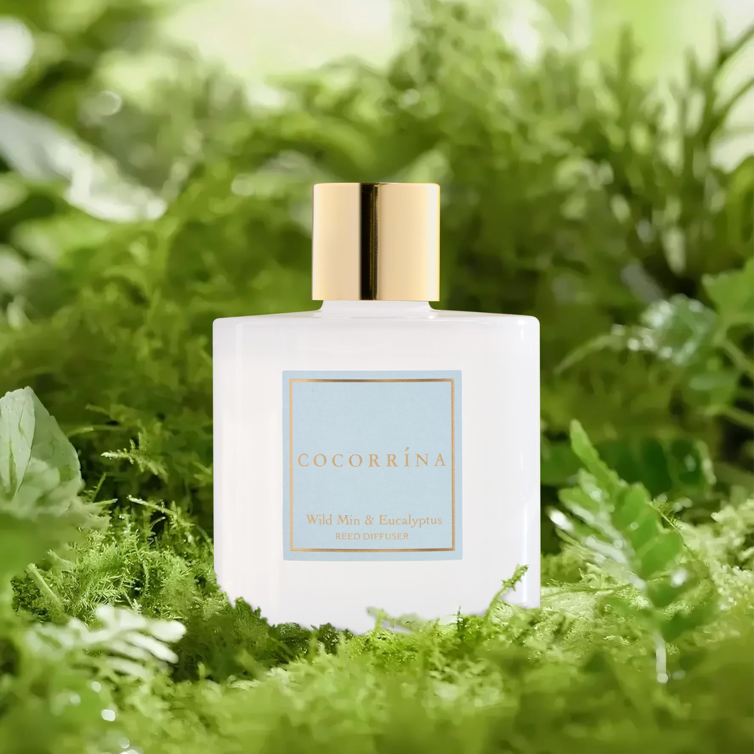 COCORR  NA Reed Diffuser - Wild Mint & Eucalyptus 6.7 Fl.oz Reed Diffuser Set with Sticks & Preserved Babys Breath, Reed Diffus
