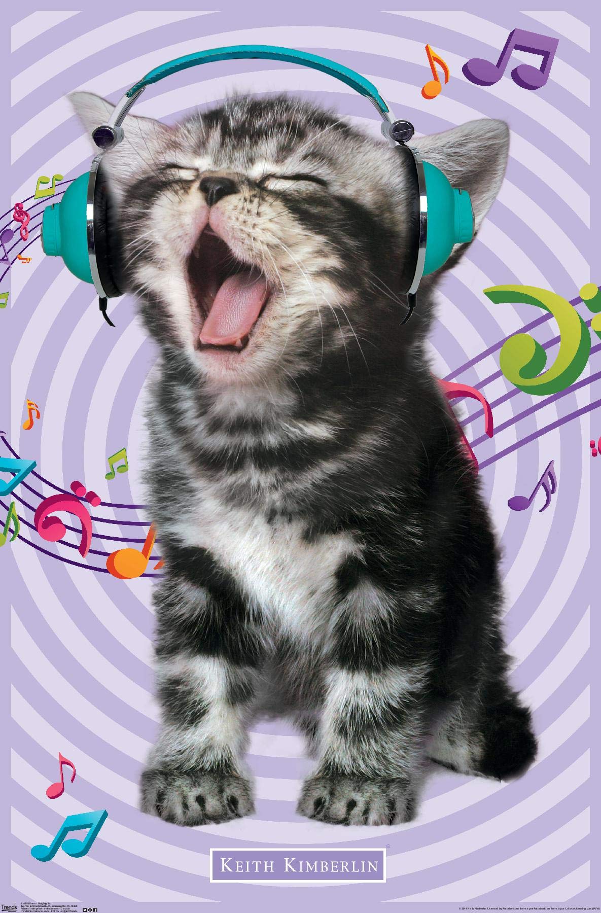 Trends International Keith Kimberlin - Kitten - Singing Wall Poster, 14.725'' X 22.375'', Premium Unframed Version