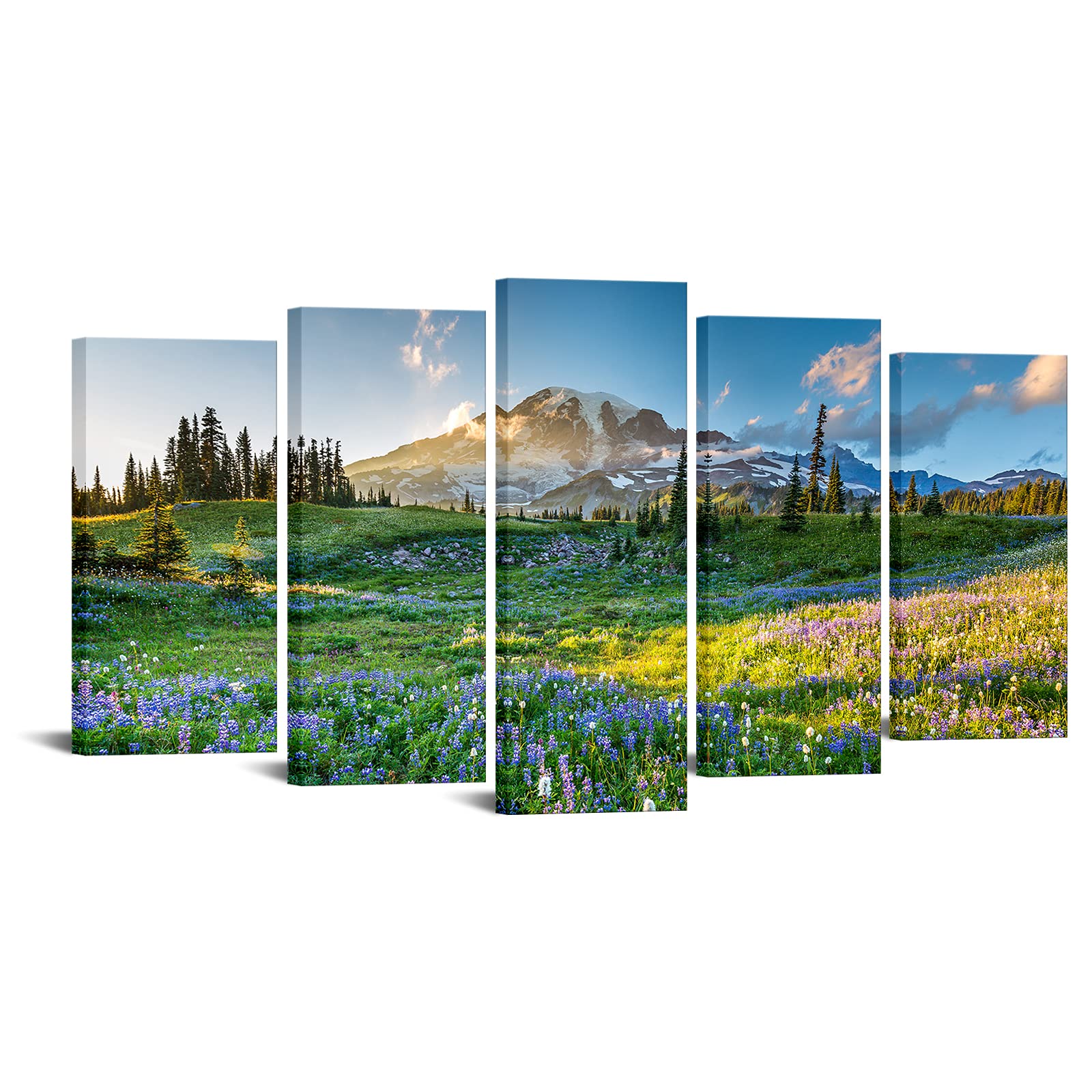 Levvarts- Large Canvas Print Wall Art Mount Rainier National Park At Sunrise Landscape Painting Giclee Print Gallery Wrap Ready