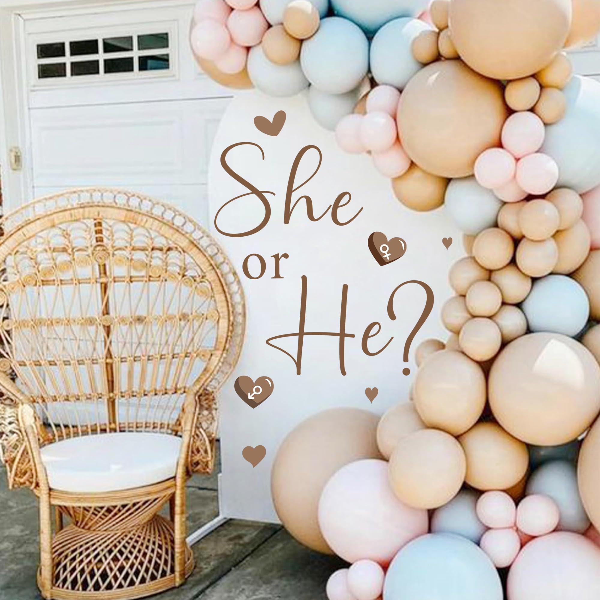 He Or She Decorations Gender Reveal Sign For Balloon Arch Baby Gender Party Decorations Baby Shower Party Sign Backdrop Decal Gi