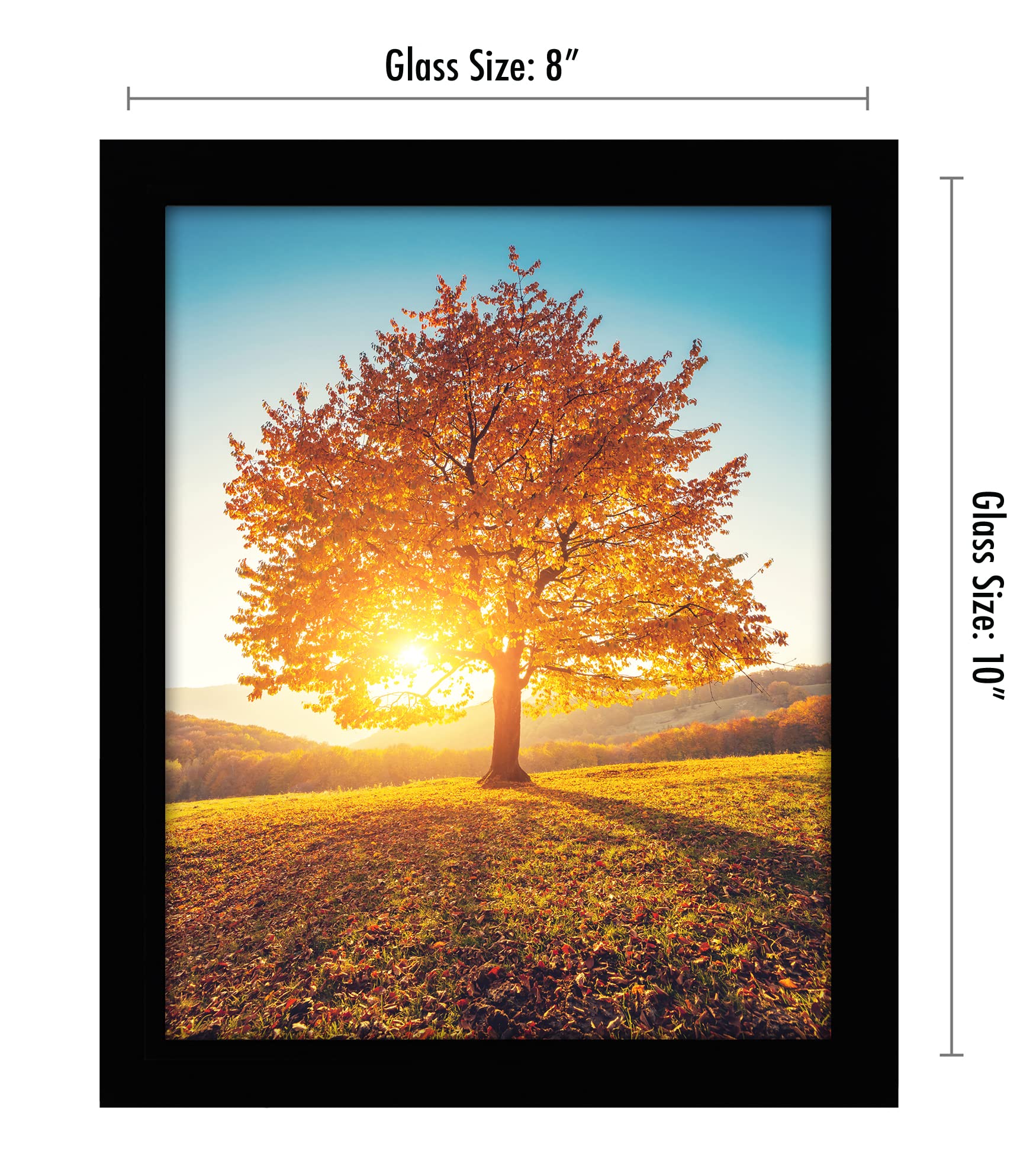 Americanflat 8x10 Picture Frame with Shatter-Resistant Glass - Signature Collection - Gallery-Style Frames Made of Engineered Wo