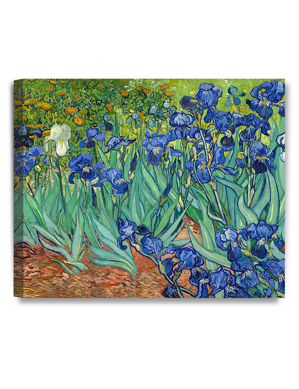 Decorarts - Irises In The Garden By Vincent Van Gogh. Oil Painting Reproduction. Giclee Print On Canvas. Ready To Hang Wall Art