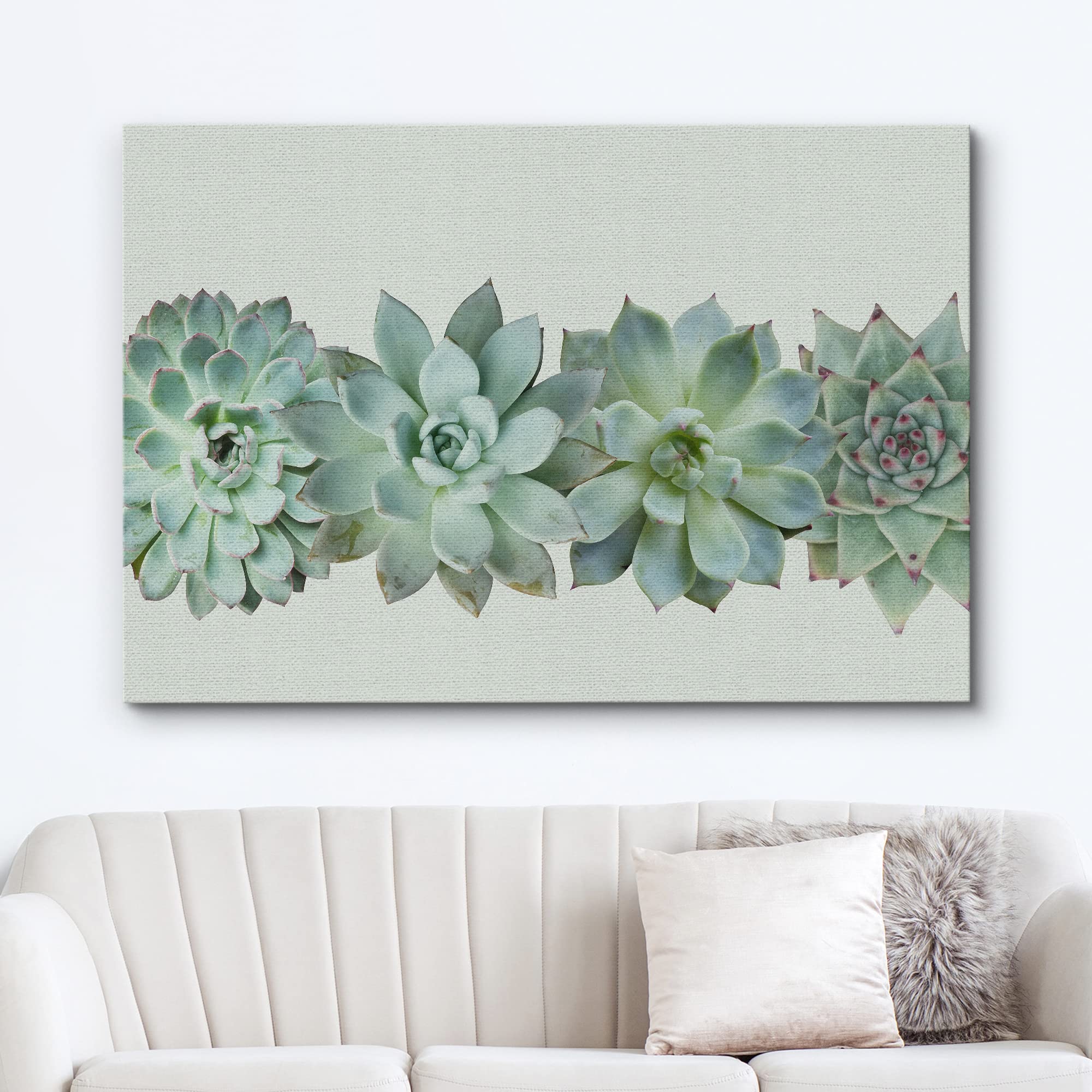 Wall26 Canvas Print Wall Art Variety Of Green Desert Succulents Floral Plants Photography Realism Rustic Closeup Colorful Multic