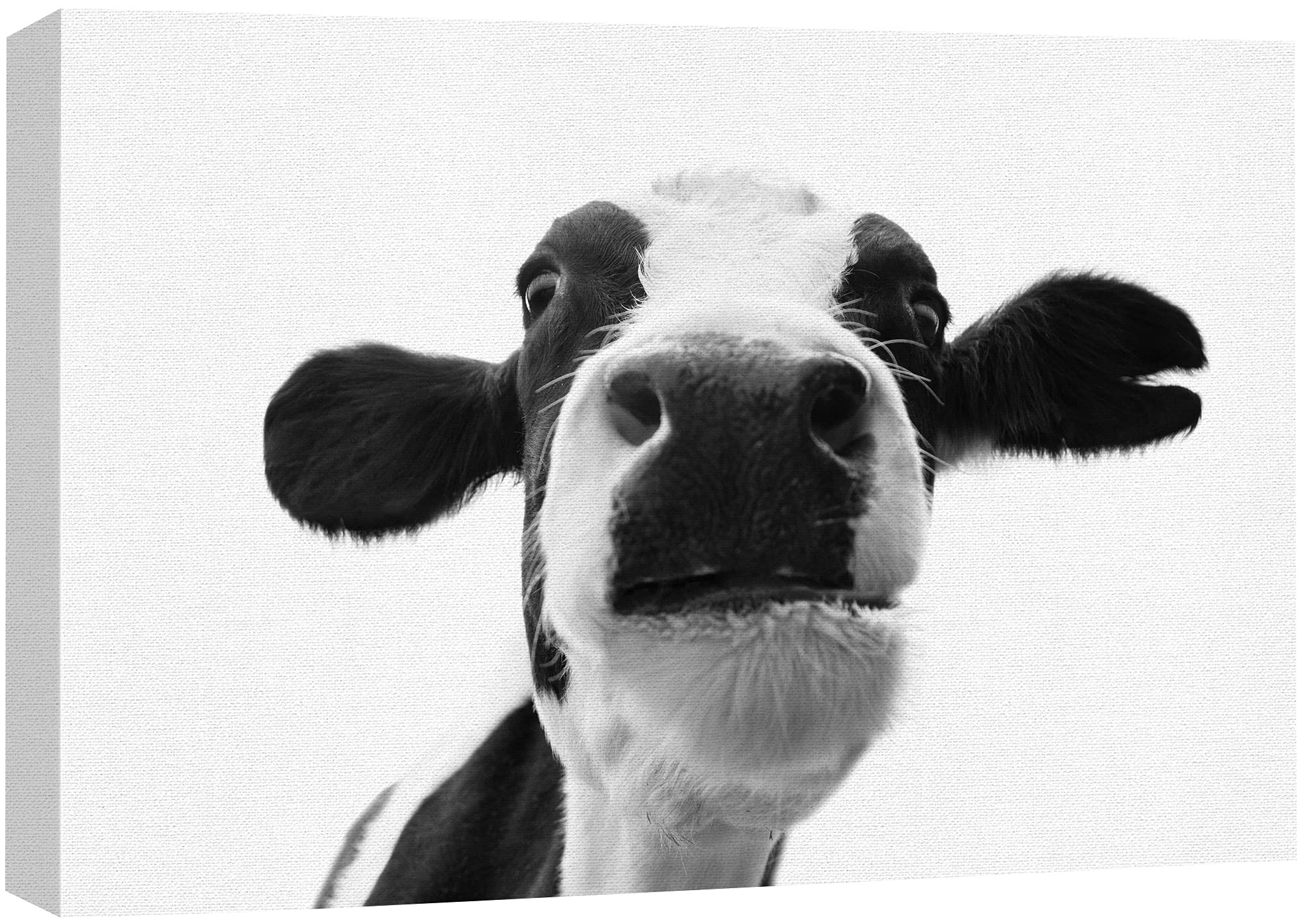 Signford Canvas Print Wall Art Cow Closeup Portrait Animals Wildlife Photography Realism Decorative Elements Relax/Calm Grey Coo