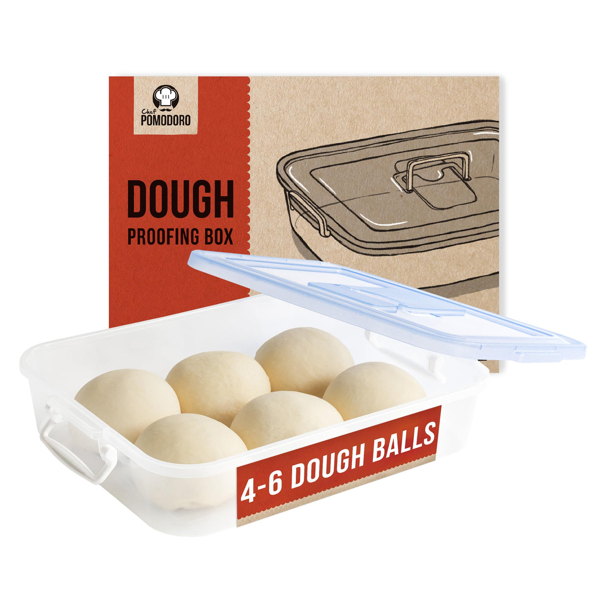 Chef Pomodoro Pizza Dough Proofing Box, 14 X 11-Inch, Pizza Dough Container, Fits 4-6 Dough Balls, Household Pizza Dough Tray Wi