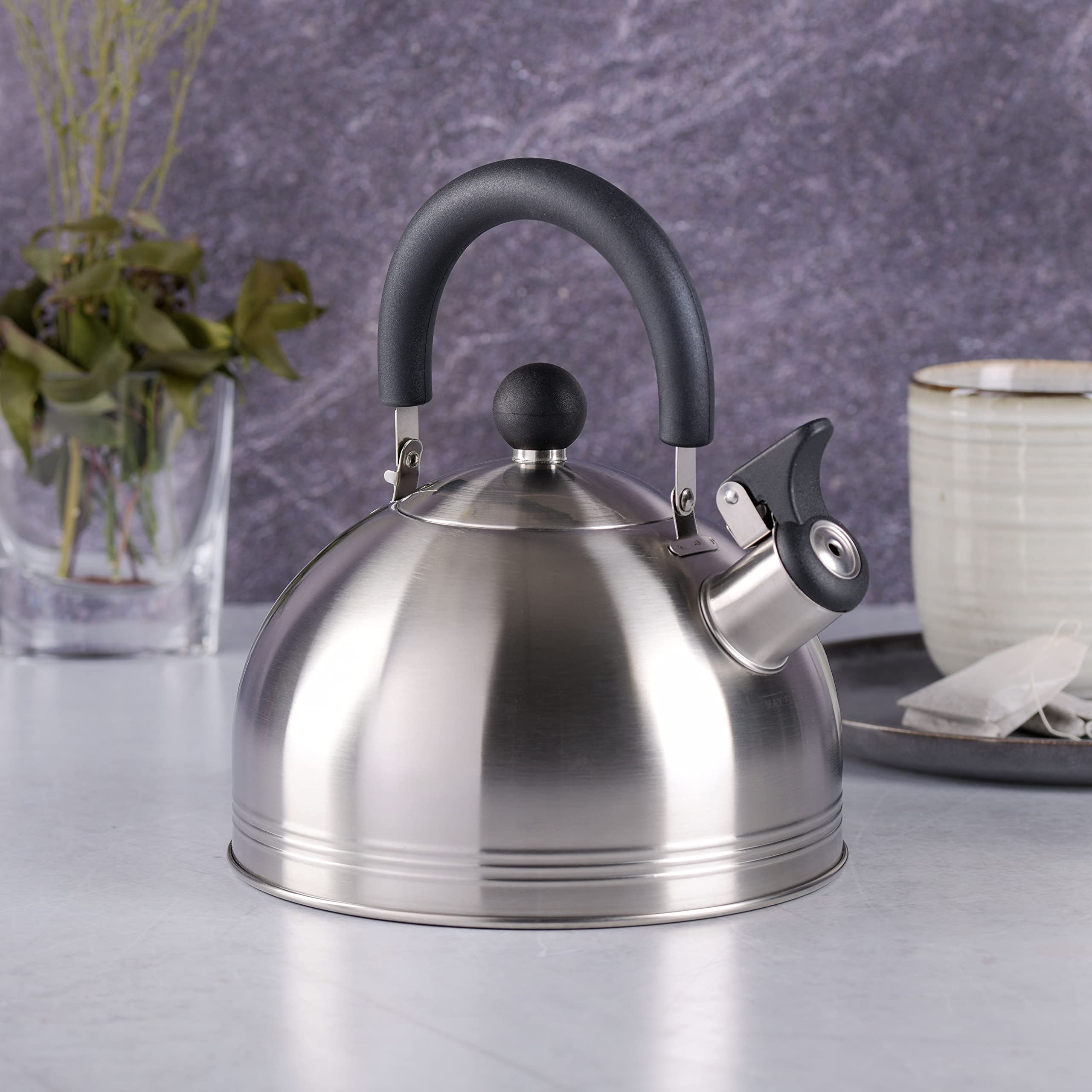 Mr. Coffee Carterton Stainless Steel Whistling Tea Kettle  1.5-Quart  Mirror Polish