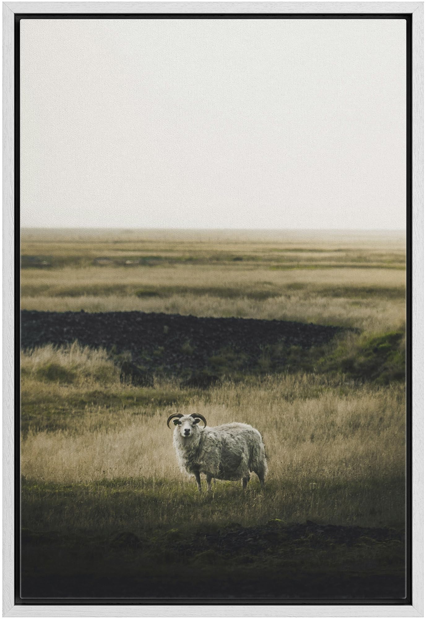 Wall26 Framed Canvas Print Wall Art Lone Sheep In Vast Grassland Animals Photography Realism Rustic Scenic Landscape Wilderness