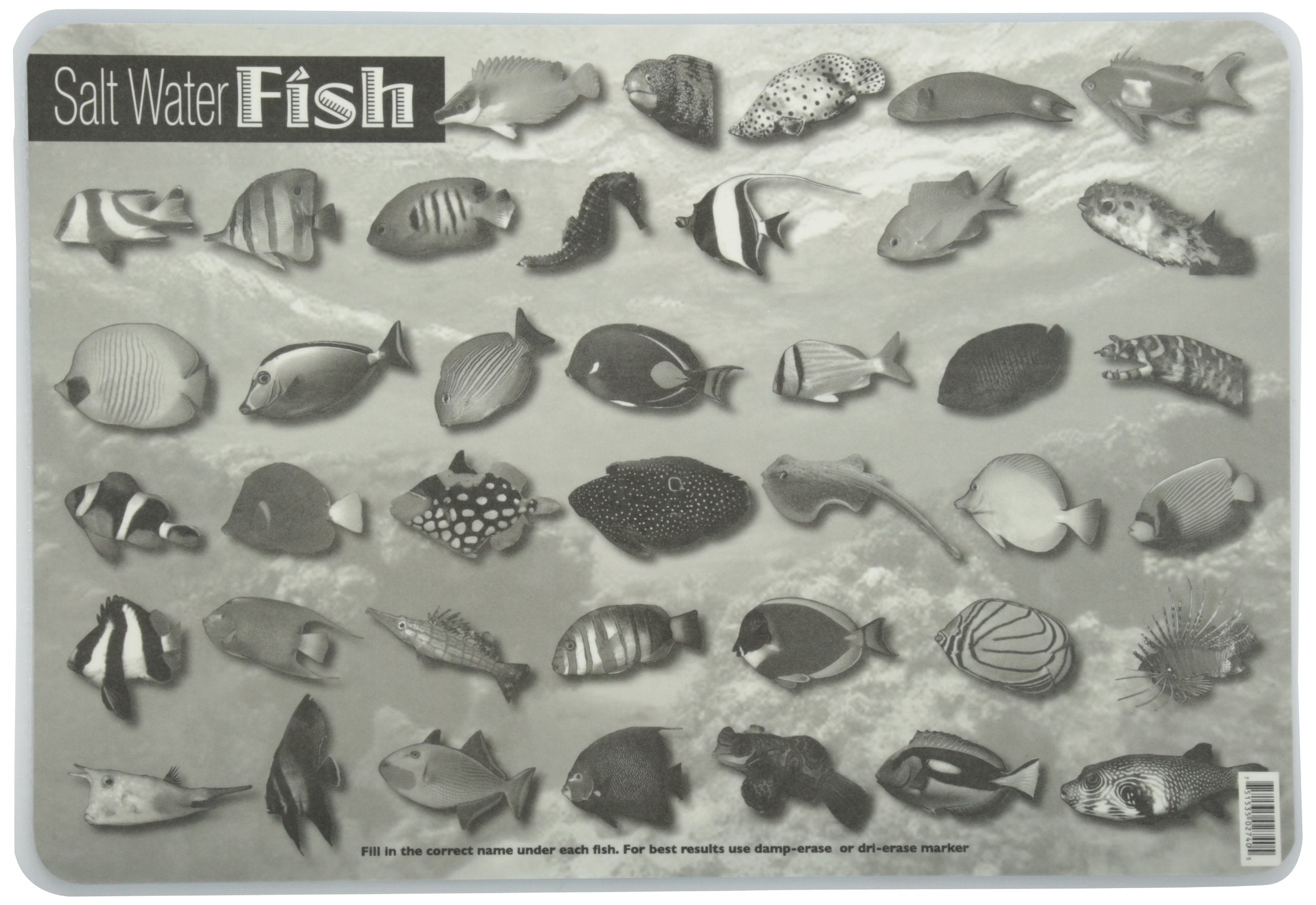 Painless Learning Saltwater Fish Placemat, 12 X 17 1/2 Inches