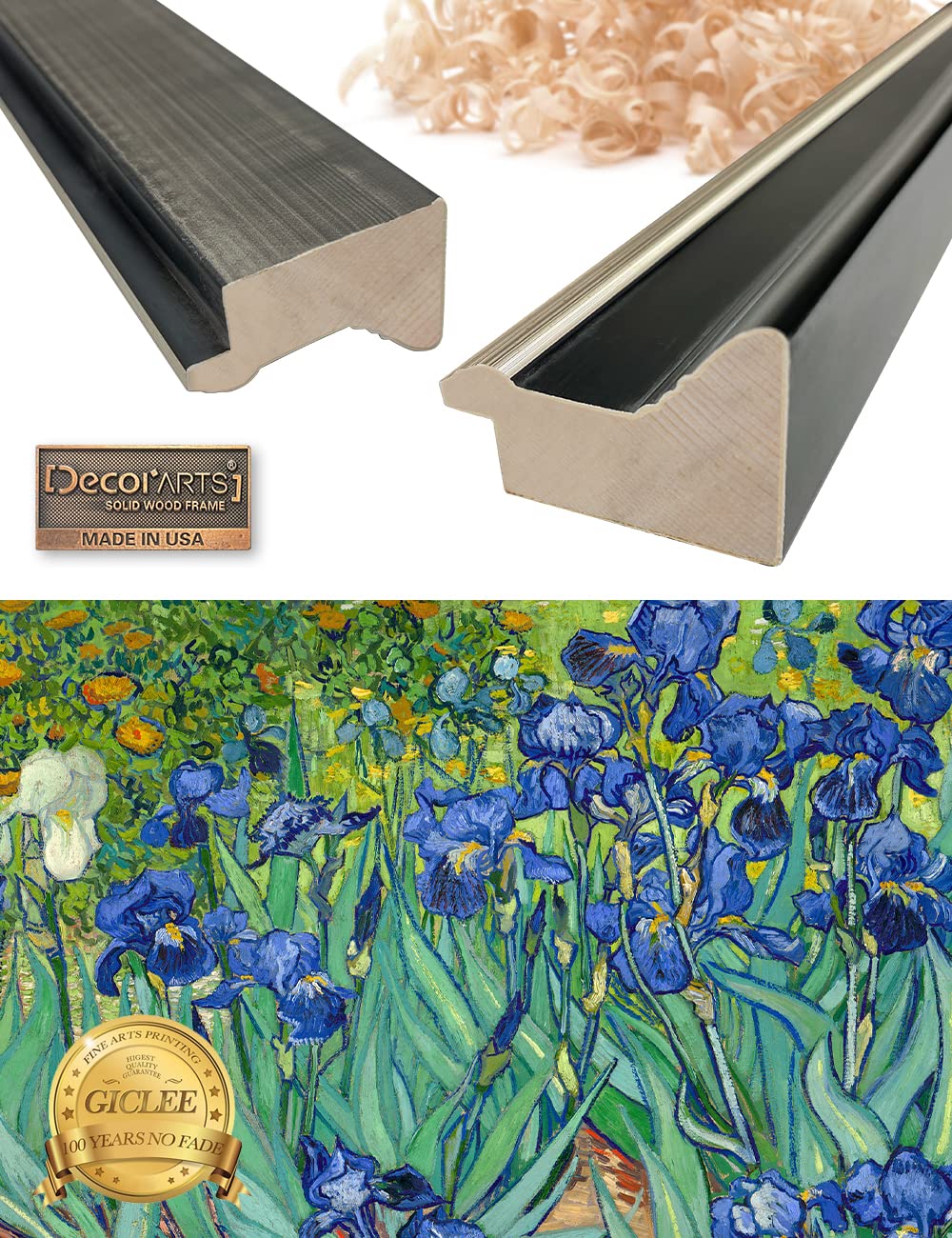 Decorarts - Irises In The Garden By Vincent Van Gogh. Giclee Print Art Reproduction With Matching Solid Wood Frame In Classical