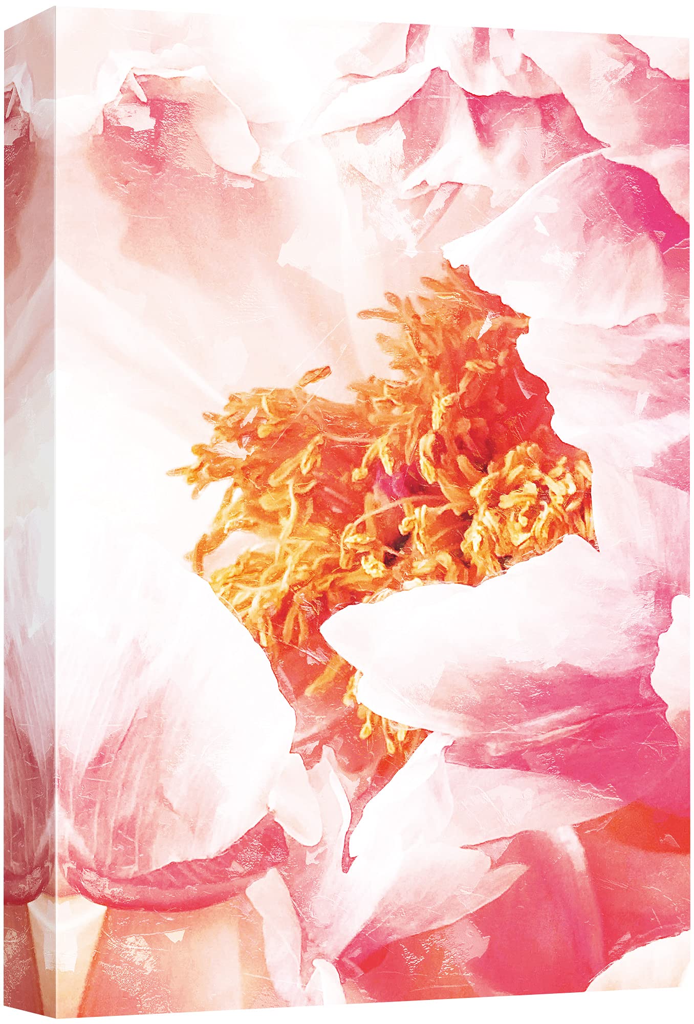 Nwt Canvas Print Wall Art Closeup Of Pink & Orange Chinese Peony Floral Plants Illustrations Modern Art Rustic Landscape Colorfu