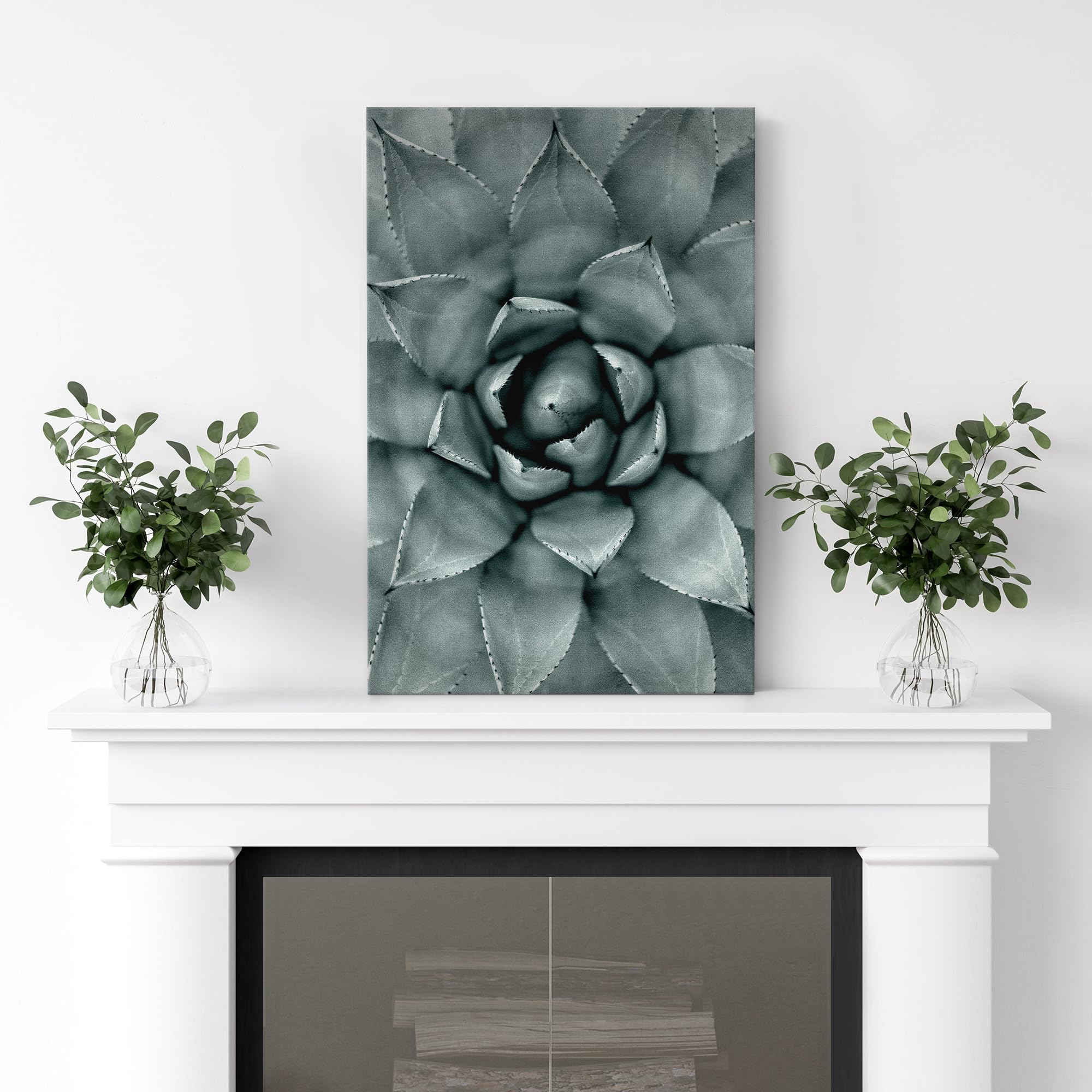 Wall26 Canvas Print Wall Art Monochrome Succulent Plant Chic Contemporary Botanical Nature Wilderness Photography Modern Art Dec