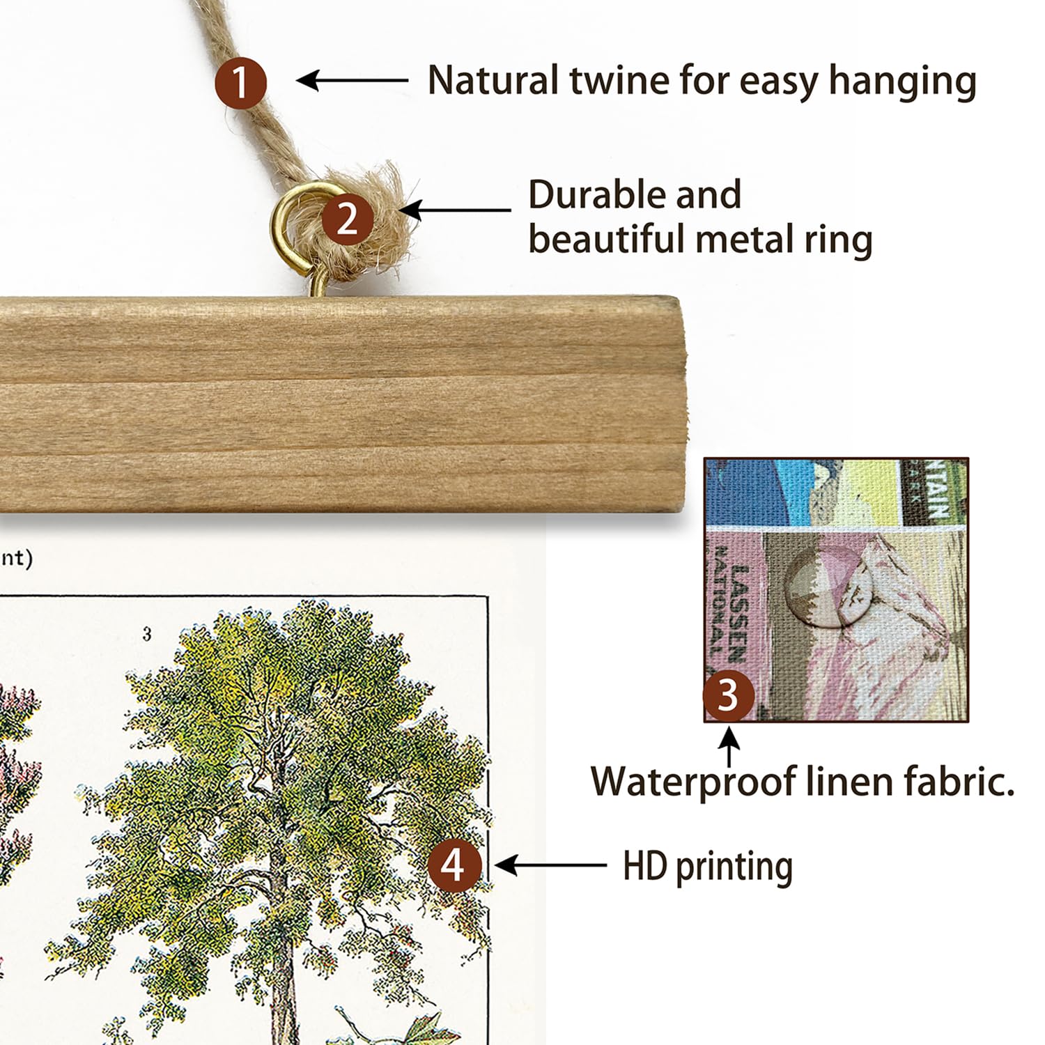 Xiaoaika Vintage Tree And Shrub Poster - Botanical Educational Retro Wall Art With Wooden Frame For Gardening Enthusiasts And La