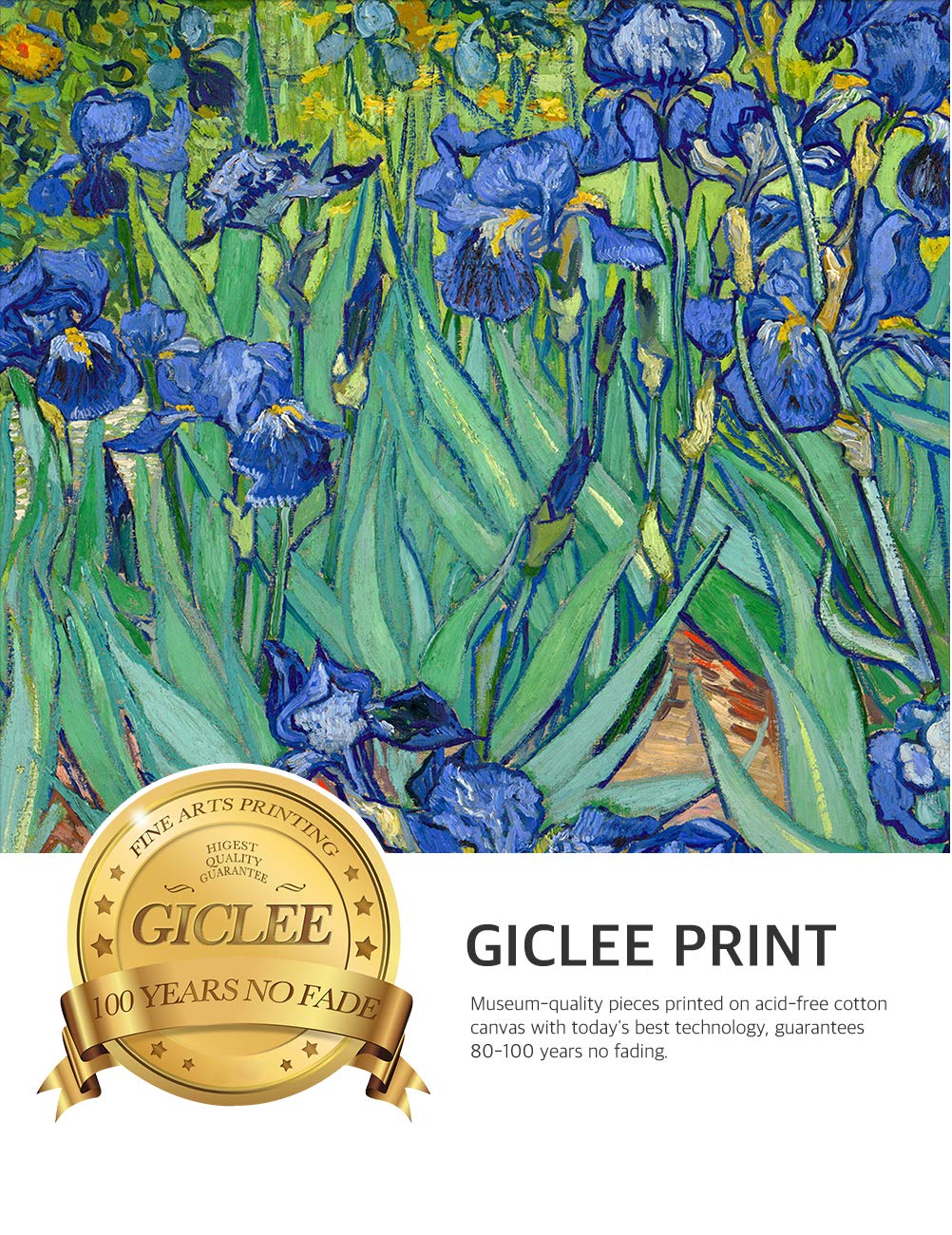 Decorarts - Irises In The Garden - Vincent Van Gogh. Giclee Print On Canvas With Matching Golden-Relief Framed Wall Art. Picture