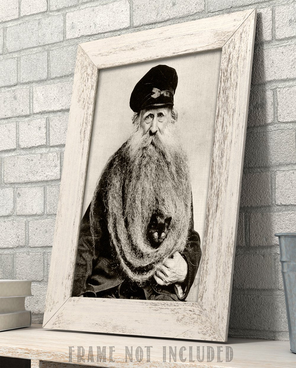 Lone Star Art Quirky Kitten Hiding In Old Mans Giant Beard Bizarre Strange Weird Vintage Photo - 11X14 Unframed Print - Perfect