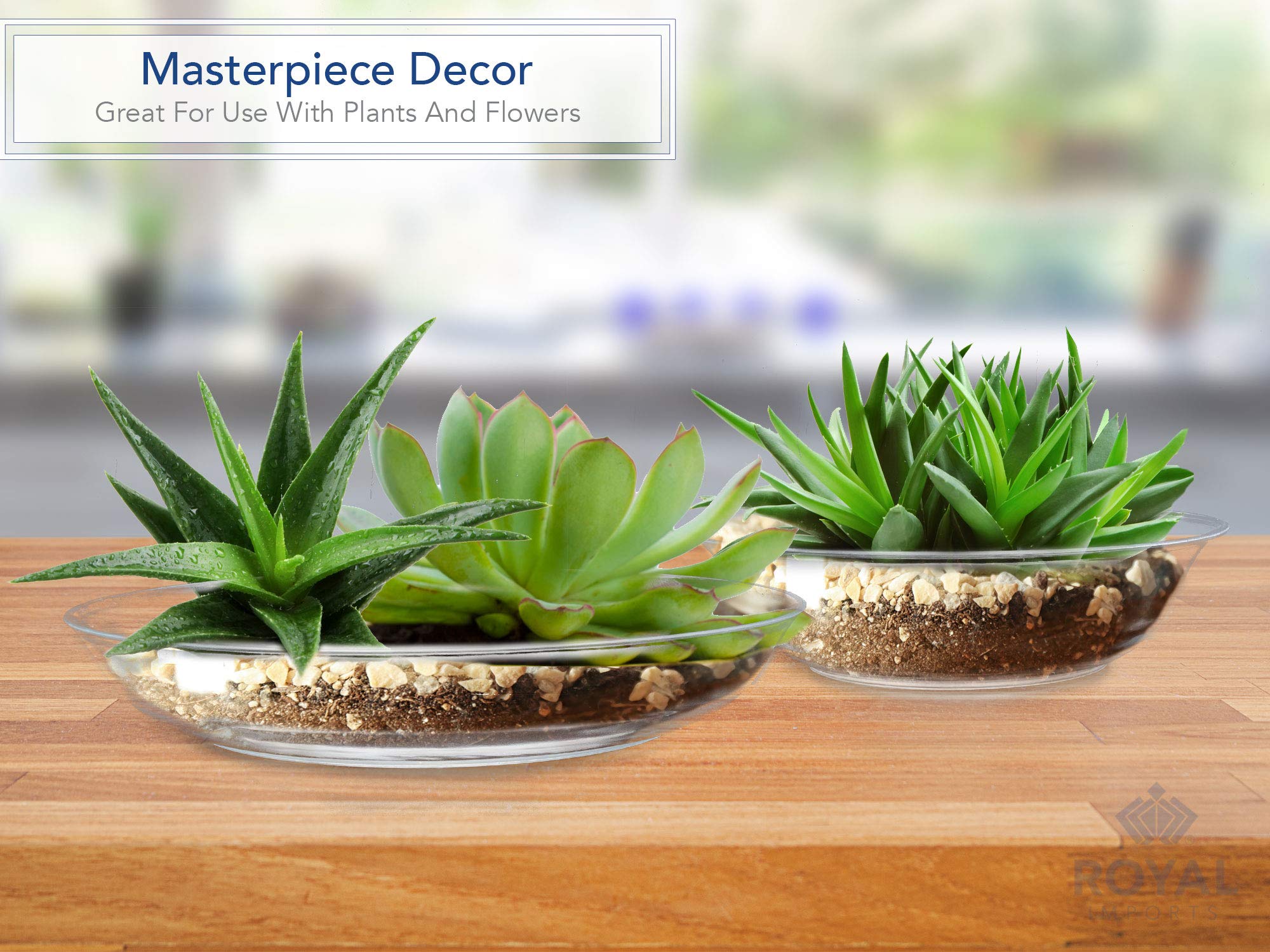 Royal Imports 10'' Clear Plastic Saucer Plant Drip Tray  Deep Pie Plate  Floral Flower Dish  Wedding  Party  Home and Holiday Decor  6 Pack