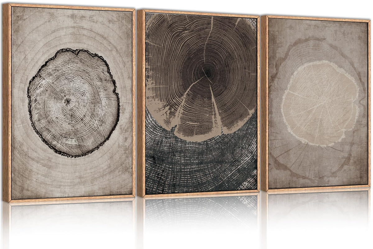 Chditb Beige Tree Ring Framed Canvas Wall Art Set, Modern Wood Stump Wall Decor, Abstract Black And White Wall Painting, Neutral