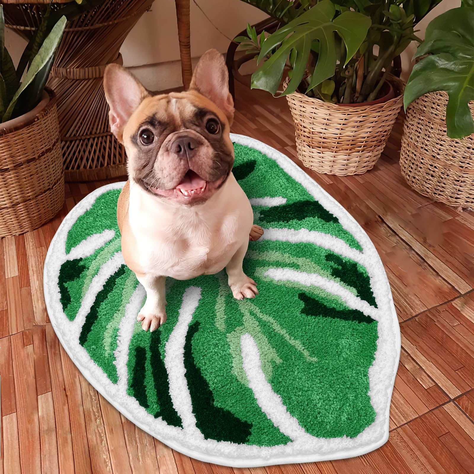Sisher Leaf Rug Cute Monstera Rug Non Slip Bath Mat Absorbent Monstera Bath Mat Fun Kitchen Or Bathtub Rugs Green Bath Mat(21''X