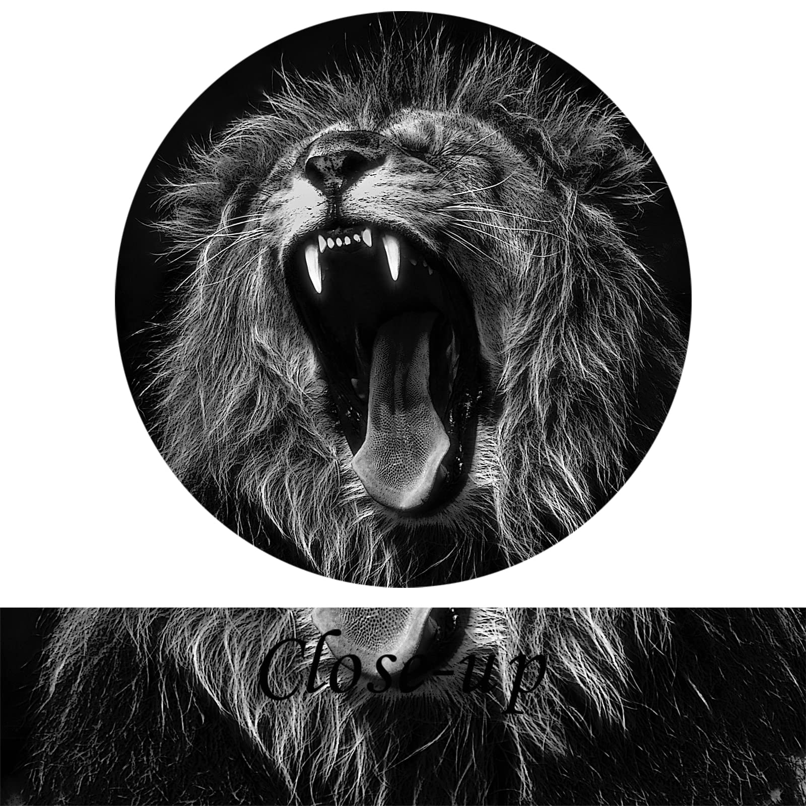 KREATIVE ARTS Lion King Black and White Canvas Prints Wall Art - 3 Panels, 12x12 inch, Modern Decor for Living Room & Office